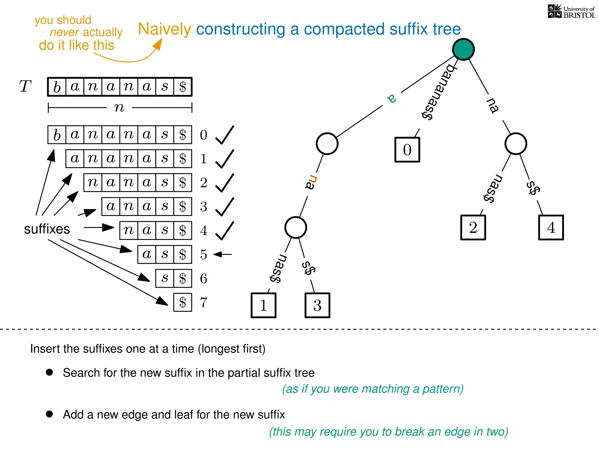 Naively constructing a compacted sufﬁx tree
Insert the sufﬁxes one at a time (longest ﬁrst)
• Search for the new sufﬁx in the partial sufﬁx tree
(as if you were matching a pattern)
• Add a new edge and leaf for the new sufﬁx
(this may require you to break an edge in two)
TT b n aaa sn
n
$ a
nas$
nas$
s$
na
bananas$
b n aaa sn
n aaa sn
n aa sn
aa sn
a sn
a s
s
sufﬁxes
$
$
$
$
$
$
$
0
1
2
3
4
5
6
$ 7 1 3
0
2 4
nas$
a
na
never actually
do it like this
you should
 