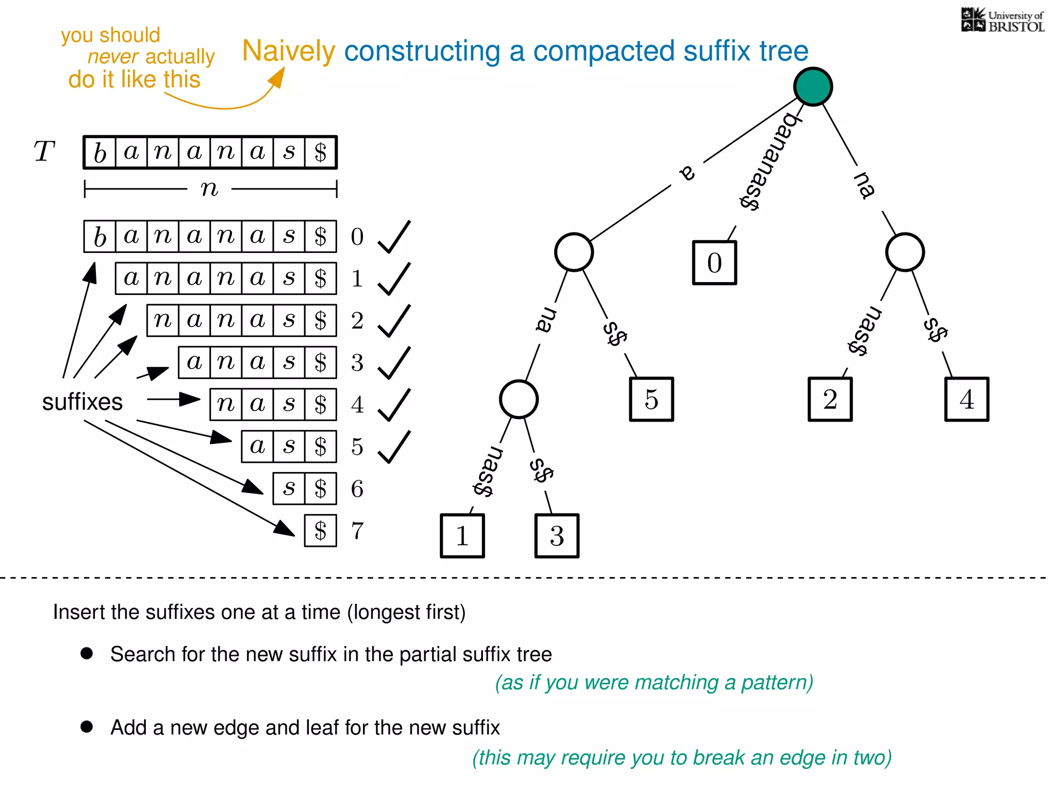 Naively constructing a compacted sufﬁx tree
Insert the sufﬁxes one at a time (longest ﬁrst)
• Search for the new sufﬁx in the partial sufﬁx tree
(as if you were matching a pattern)
• Add a new edge and leaf for the new sufﬁx
(this may require you to break an edge in two)
TT b n aaa sn
n
$ a
s$
nas$
nas$
s$
na
bananas$
b n aaa sn
n aaa sn
n aa sn
aa sn
a sn
a s
s
sufﬁxes
$
$
$
$
$
$
$
0
1
2
3
4
5
6
$ 7 1 3
5
0
2 4
nas$
never actually
do it like this
you should
 
