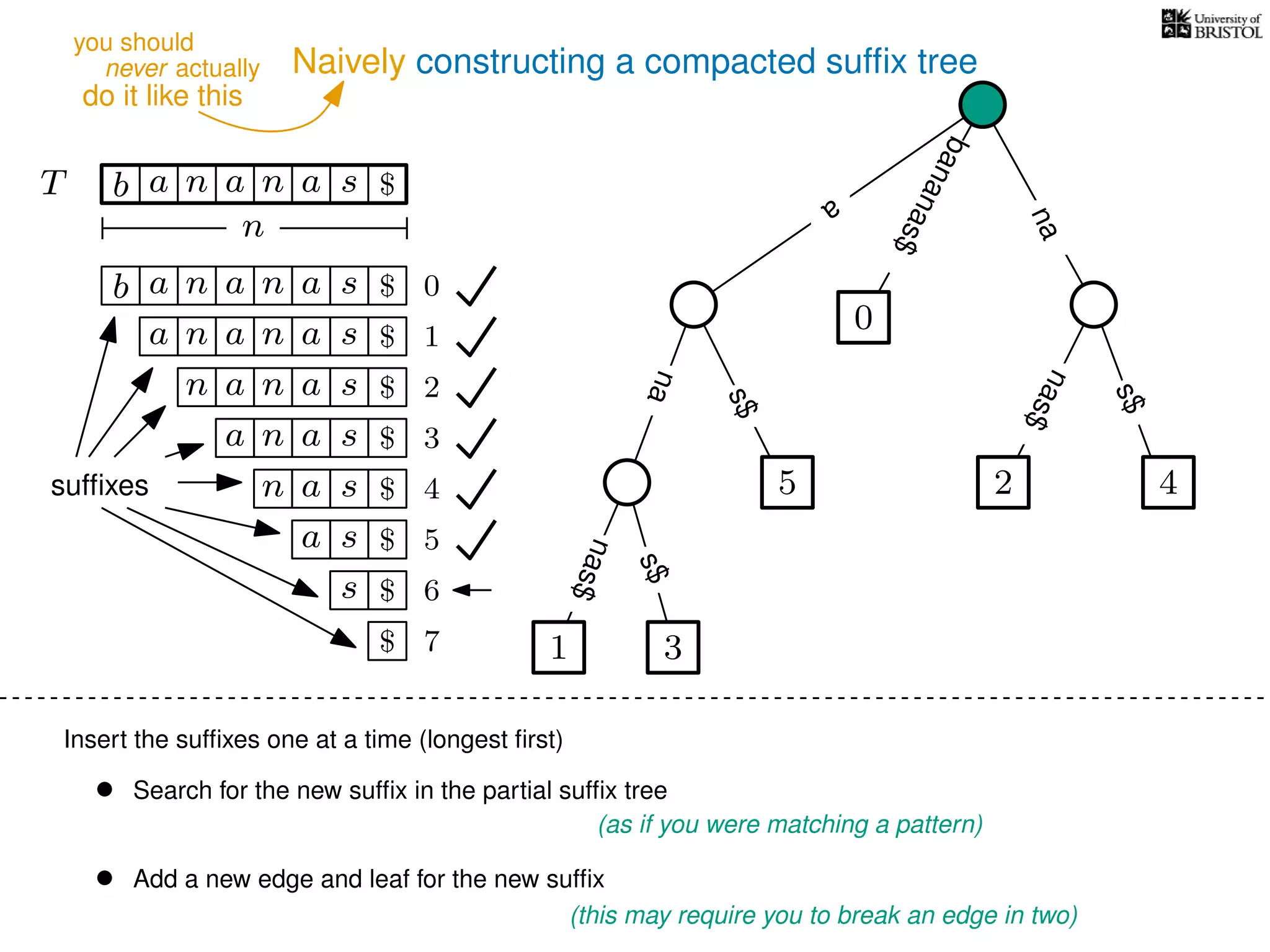 Naively constructing a compacted sufﬁx tree
Insert the sufﬁxes one at a time (longest ﬁrst)
• Search for the new sufﬁx in the partial sufﬁx tree
(as if you were matching a pattern)
• Add a new edge and leaf for the new sufﬁx
(this may require you to break an edge in two)
TT b n aaa sn
n
$ a
s$
nas$
nas$
s$
na
bananas$
b n aaa sn
n aaa sn
n aa sn
aa sn
a sn
a s
s
sufﬁxes
$
$
$
$
$
$
$
0
1
2
3
4
5
6
$ 7 1 3
5
0
2 4
nas$
never actually
do it like this
you should
 