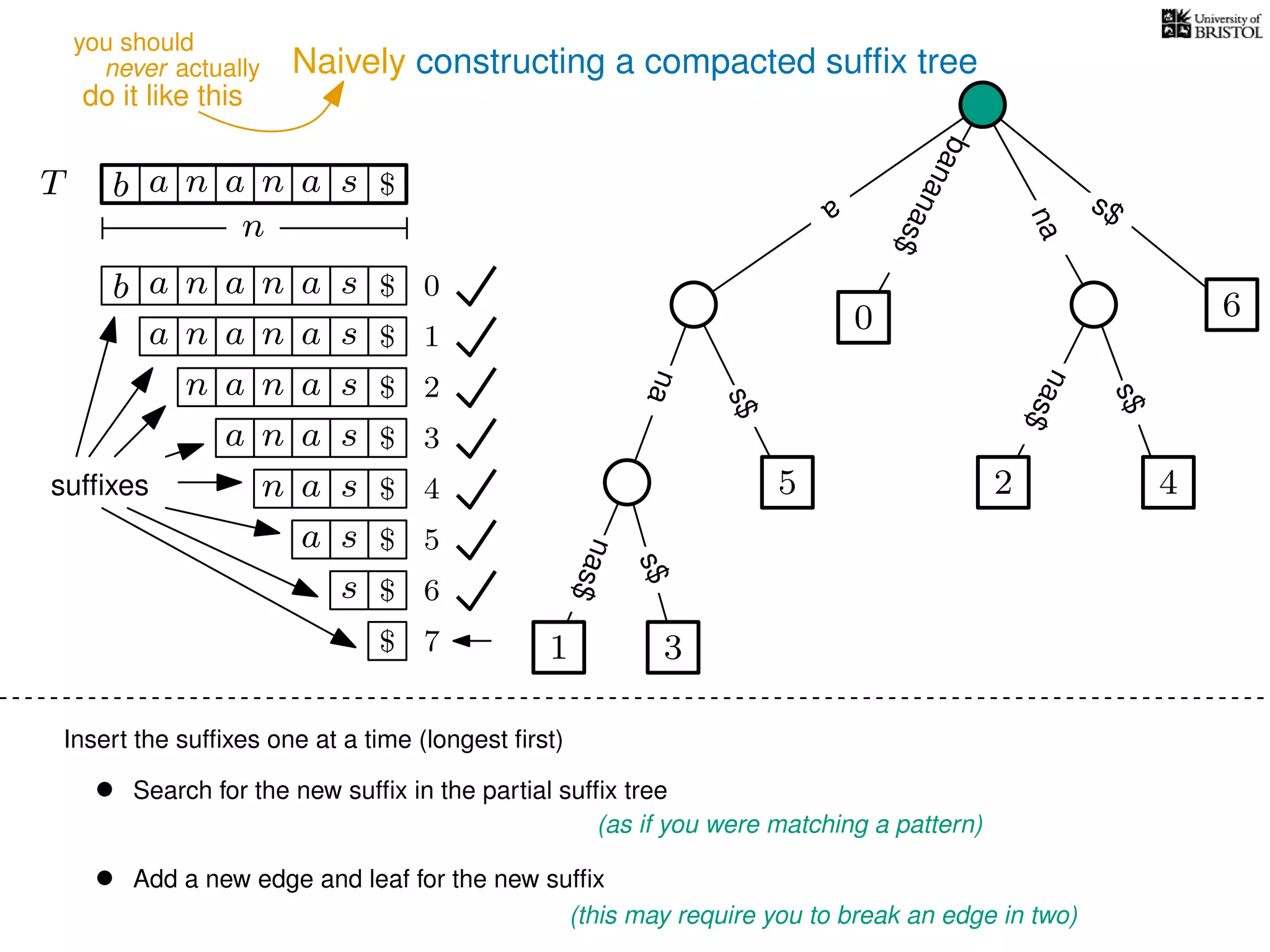 Naively constructing a compacted sufﬁx tree
Insert the sufﬁxes one at a time (longest ﬁrst)
• Search for the new sufﬁx in the partial sufﬁx tree
(as if you were matching a pattern)
• Add a new edge and leaf for the new sufﬁx
(this may require you to break an edge in two)
TT b n aaa sn
n
$ a
s$
nas$
nas$
s$
na
s$
bananas$
b n aaa sn
n aaa sn
n aa sn
aa sn
a sn
a s
s
sufﬁxes
$
$
$
$
$
$
$
0
1
2
3
4
5
6
$ 7 1 3
5
0
2 4
6
nas$
never actually
do it like this
you should
 