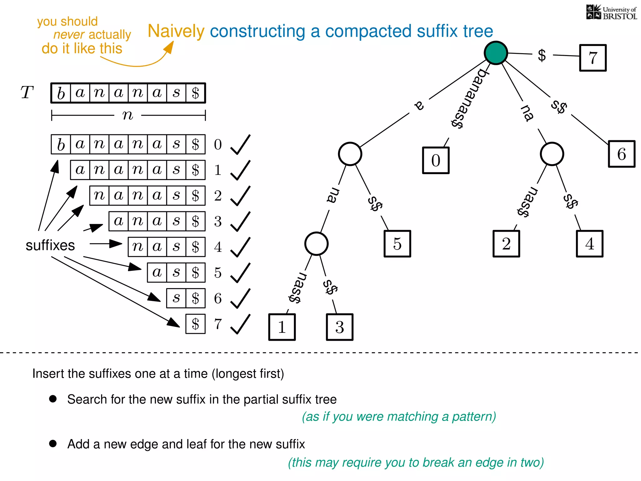 Naively constructing a compacted sufﬁx tree
Insert the sufﬁxes one at a time (longest ﬁrst)
• Search for the new sufﬁx in the partial sufﬁx tree
(as if you were matching a pattern)
• Add a new edge and leaf for the new sufﬁx
(this may require you to break an edge in two)
TT b n aaa sn
n
$ a
s$
nas$
nas$
s$
na
s$
bananas$
7$
b n aaa sn
n aaa sn
n aa sn
aa sn
a sn
a s
s
sufﬁxes
$
$
$
$
$
$
$
0
1
2
3
4
5
6
$ 7 1 3
5
0
2 4
6
nas$
never actually
do it like this
you should
 