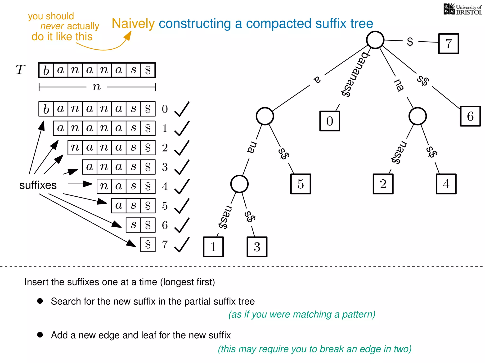 Naively constructing a compacted sufﬁx tree
Insert the sufﬁxes one at a time (longest ﬁrst)
• Search for the new sufﬁx in the partial sufﬁx tree
(as if you were matching a pattern)
• Add a new edge and leaf for the new sufﬁx
(this may require you to break an edge in two)
TT b n aaa sn
n
$ a
s$
nas$
nas$
s$
na
s$
bananas$
7$
b n aaa sn
n aaa sn
n aa sn
aa sn
a sn
a s
s
sufﬁxes
$
$
$
$
$
$
$
0
1
2
3
4
5
6
$ 7 1 3
5
0
2 4
6
nas$
never actually
do it like this
you should
 