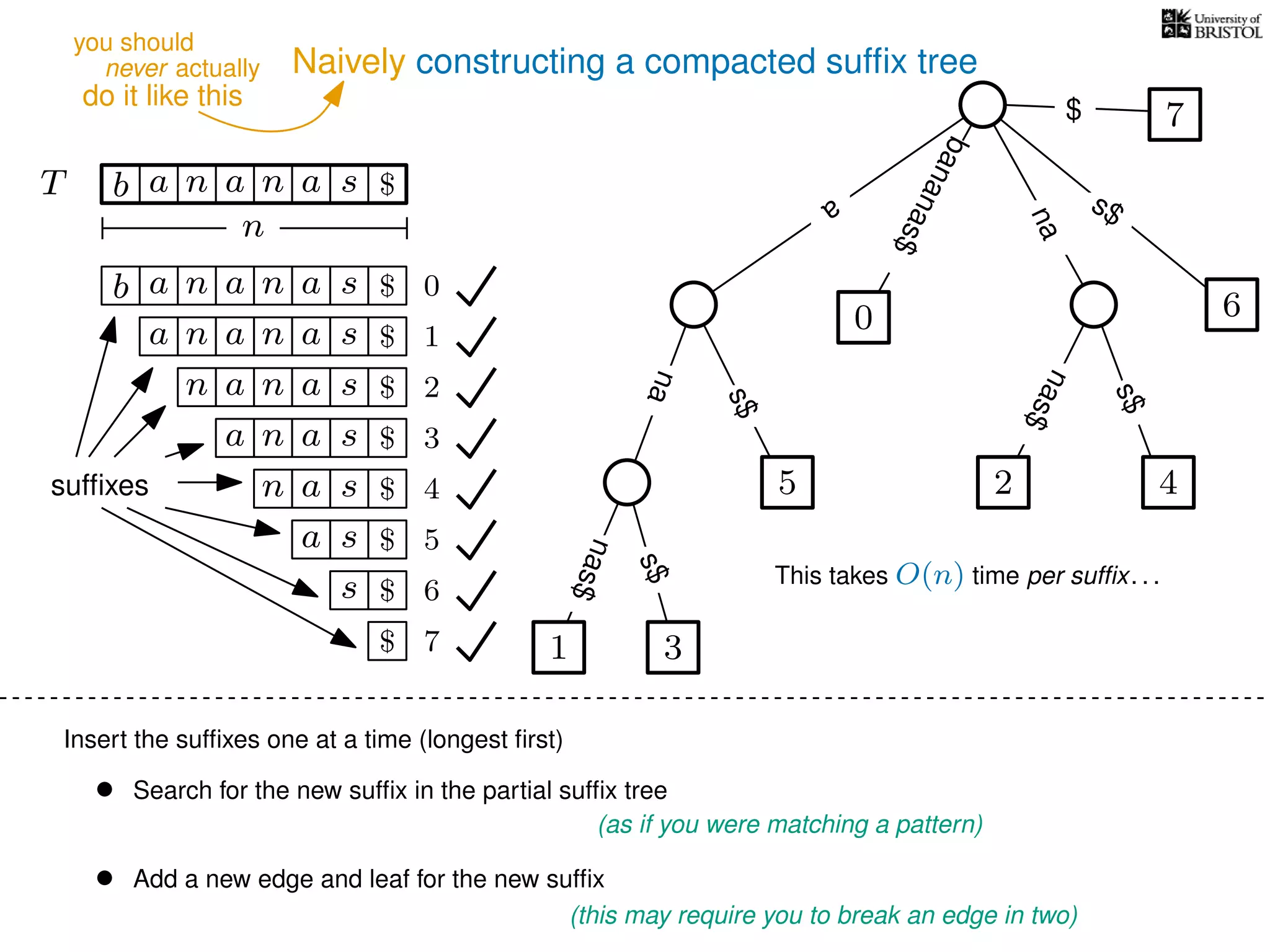 Naively constructing a compacted sufﬁx tree
Insert the sufﬁxes one at a time (longest ﬁrst)
• Search for the new sufﬁx in the partial sufﬁx tree
(as if you were matching a pattern)
• Add a new edge and leaf for the new sufﬁx
(this may require you to break an edge in two)
TT b n aaa sn
n
$ a
s$
nas$
nas$
s$
na
s$
bananas$
7$
b n aaa sn
n aaa sn
n aa sn
aa sn
a sn
a s
s
sufﬁxes
$
$
$
$
$
$
$
0
1
2
3
4
5
6
$ 7 1 3
5
0
2 4
6
nas$
This takes O(n) time per sufﬁx. . .
never actually
do it like this
you should
 