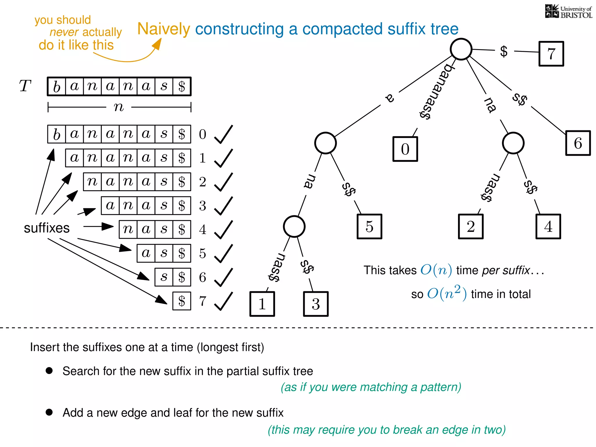 Naively constructing a compacted sufﬁx tree
Insert the sufﬁxes one at a time (longest ﬁrst)
• Search for the new sufﬁx in the partial sufﬁx tree
(as if you were matching a pattern)
• Add a new edge and leaf for the new sufﬁx
(this may require you to break an edge in two)
TT b n aaa sn
n
$ a
s$
nas$
nas$
s$
na
s$
bananas$
7$
b n aaa sn
n aaa sn
n aa sn
aa sn
a sn
a s
s
sufﬁxes
$
$
$
$
$
$
$
0
1
2
3
4
5
6
$ 7 1 3
5
0
2 4
6
nas$
This takes O(n) time per sufﬁx. . .
so O(n2) time in total
never actually
do it like this
you should
 