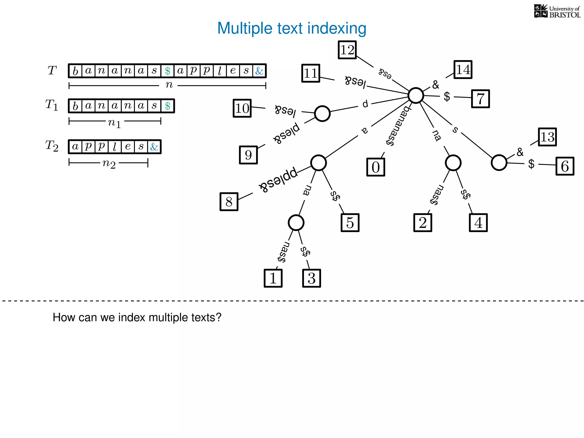Multiple text indexing
6$
13
&
TT
a
s$
nas$
nas$
s$
na
s
bananas$
7$
1 3
5
0
2 4
nas$
T1 b n aaa sn
n1
T2 a p slp e
n2
$
&
b n aaa sn $ a p slp e &
n
14
&
12
es&
les&11
8
pples&
p
10 les&
9
ples&
How can we index multiple texts?
 