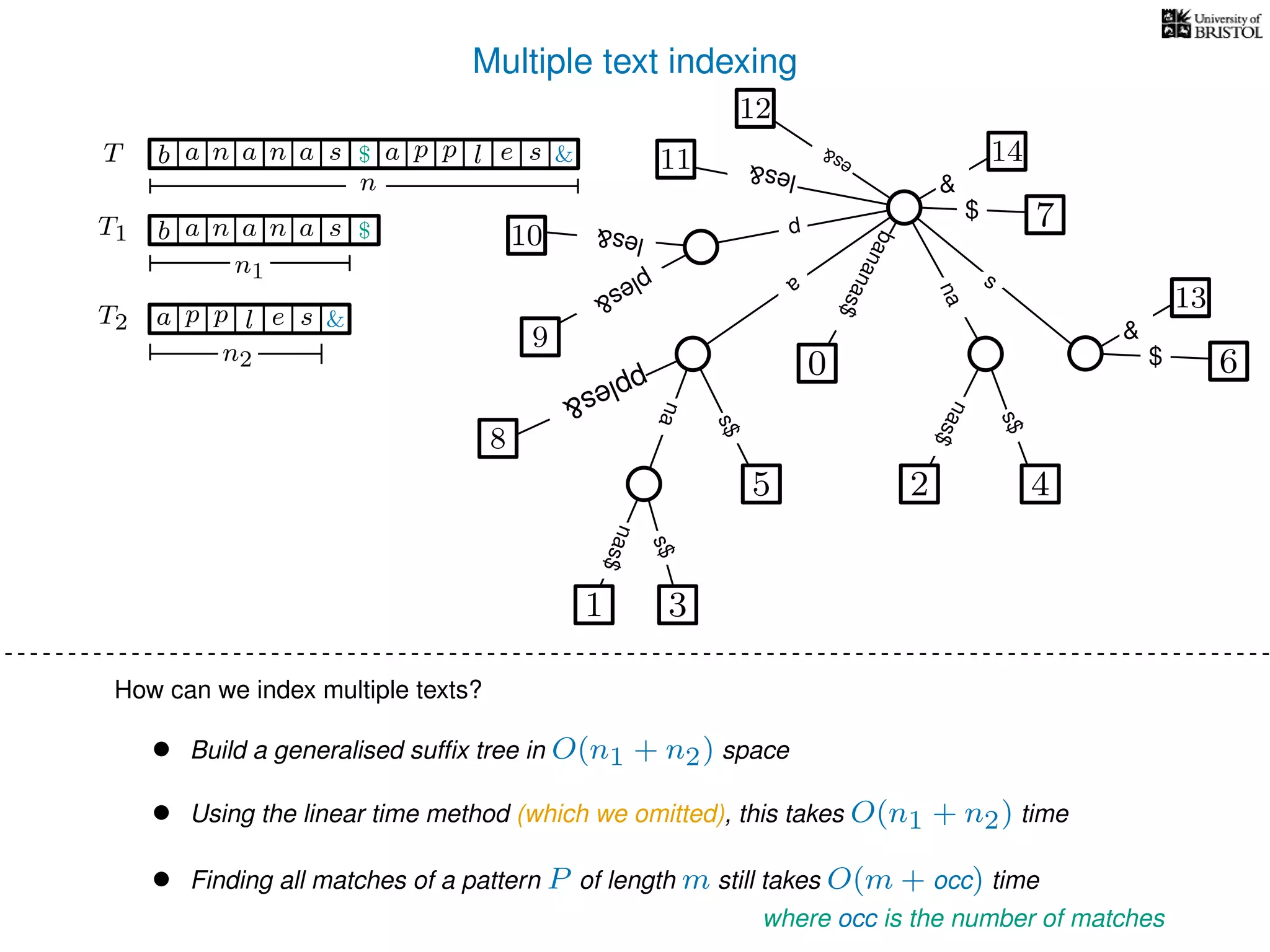 Multiple text indexing
6$
13
&
TT
a
s$
nas$
nas$
s$
na
s
bananas$
7$
1 3
5
0
2 4
nas$
T1 b n aaa sn
n1
T2 a p slp e
n2
$
&
b n aaa sn $ a p slp e &
n
• Build a generalised sufﬁx tree in O(n1 + n2) space
• Using the linear time method (which we omitted), this takes O(n1 + n2) time
• Finding all matches of a pattern P of length m still takes O(m + occ) time
14
&
12
es&
les&11
8
pples&
p
10 les&
9
ples&
How can we index multiple texts?
where occ is the number of matches
 