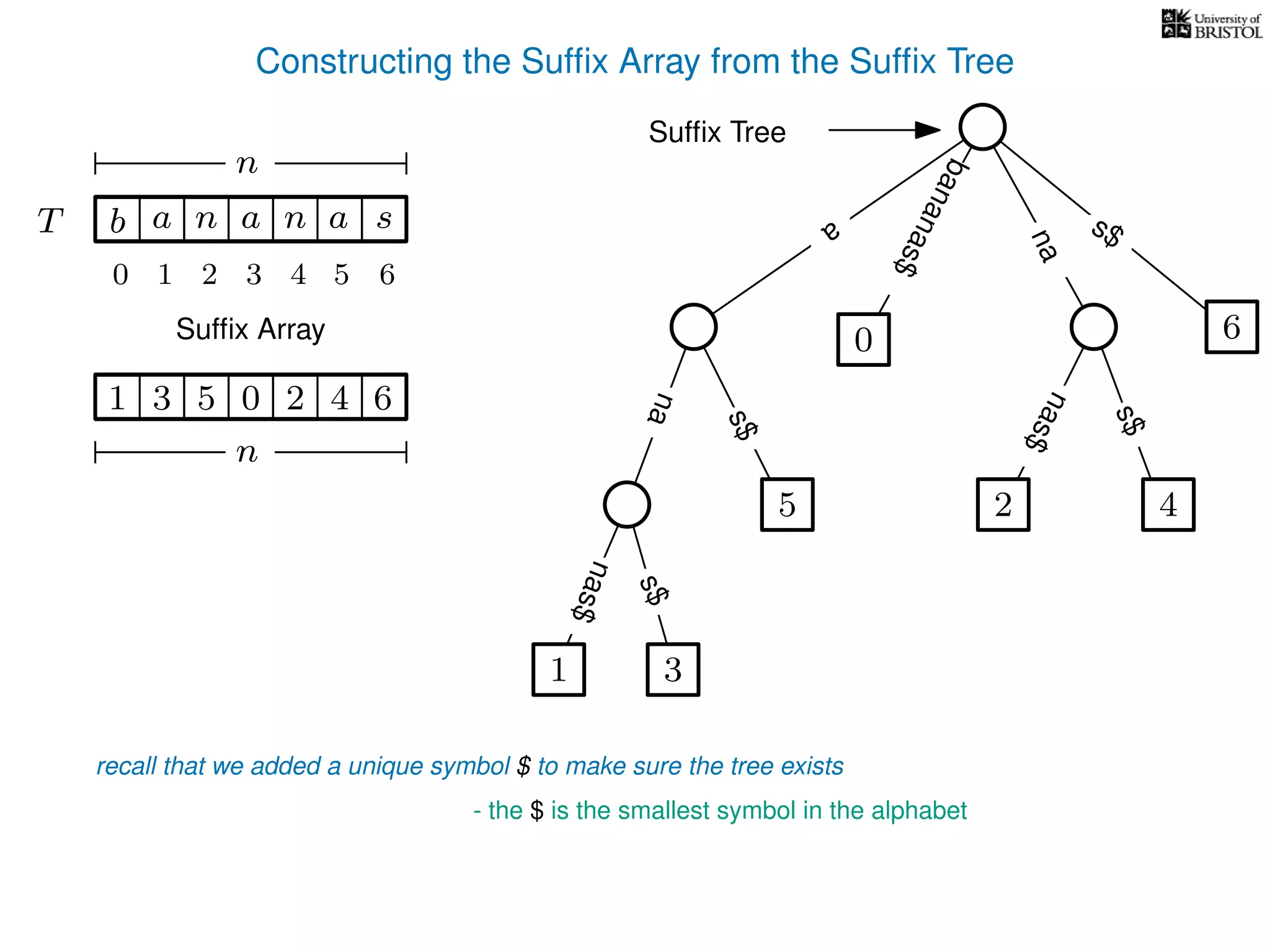 Constructing the Sufﬁx Array from the Sufﬁx Tree
a
s$
nas$
nas$
nas$
s$
na
s$
bananas$
1 3
5
0
2 4
6
T b n aaT a sn
n
Sufﬁx Array
Sufﬁx Tree
recall that we added a unique symbol $ to make sure the tree exists
- the $ is the smallest symbol in the alphabet
1 0 625 43
n
10 2 3 4 5 6
 