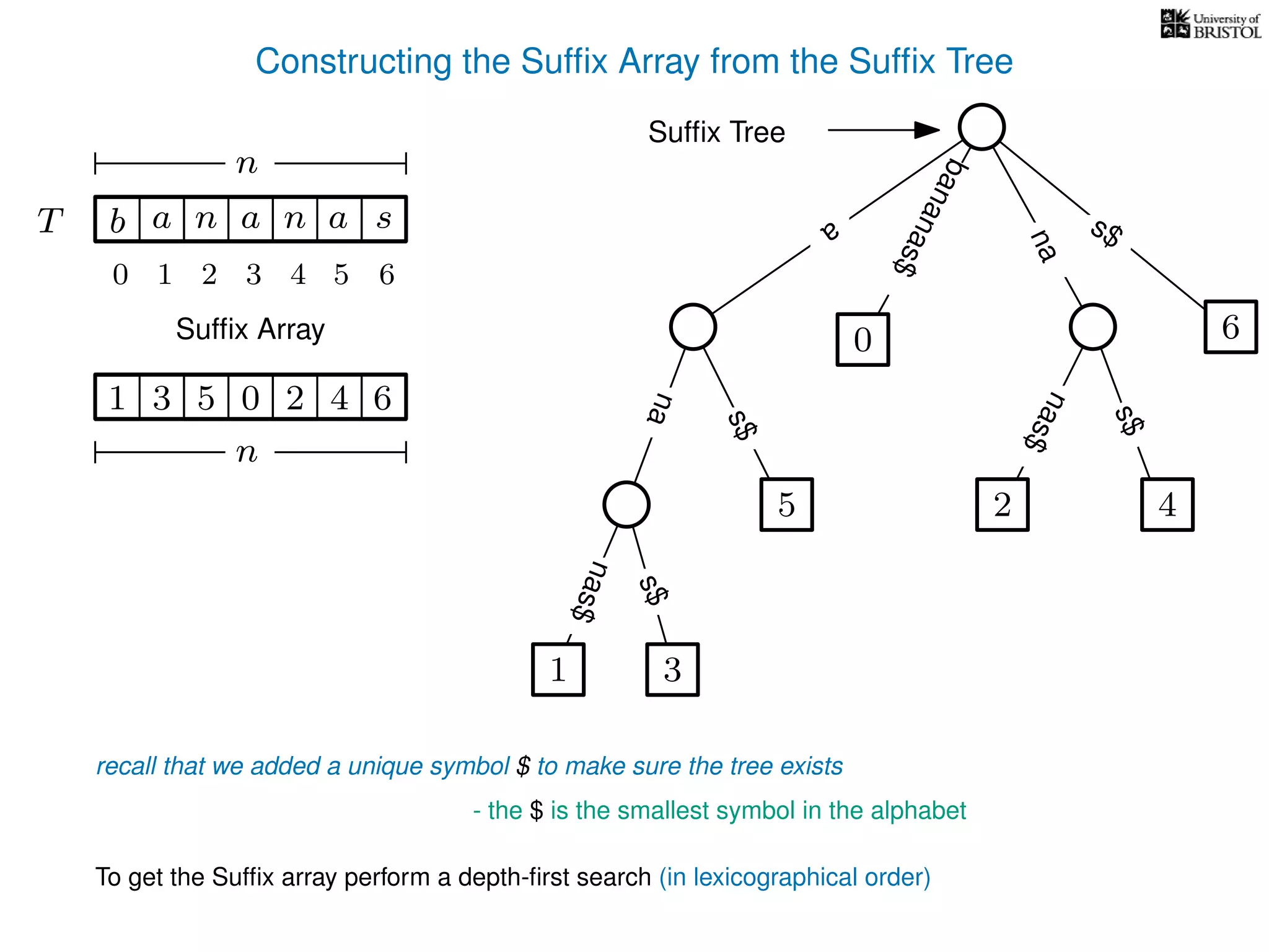 Constructing the Sufﬁx Array from the Sufﬁx Tree
a
s$
nas$
nas$
nas$
s$
na
s$
bananas$
1 3
5
0
2 4
6
T b n aaT a sn
n
Sufﬁx Array
Sufﬁx Tree
recall that we added a unique symbol $ to make sure the tree exists
- the $ is the smallest symbol in the alphabet
1 0 625 43
n
To get the Sufﬁx array perform a depth-ﬁrst search (in lexicographical order)
10 2 3 4 5 6
 
