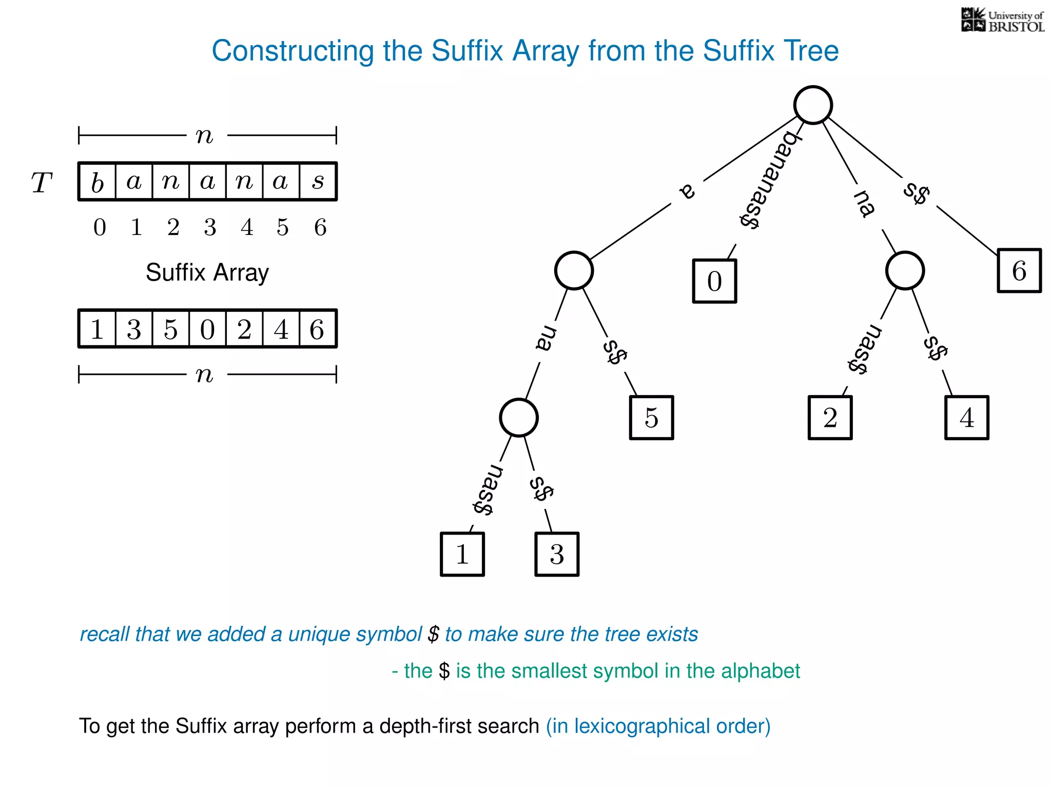 Constructing the Sufﬁx Array from the Sufﬁx Tree
a
s$
nas$
nas$
nas$
s$
na
s$
bananas$
1 3
5
0
2 4
6
T b n aaT a sn
n
Sufﬁx Array
recall that we added a unique symbol $ to make sure the tree exists
- the $ is the smallest symbol in the alphabet
1 0 625 43
n
To get the Sufﬁx array perform a depth-ﬁrst search (in lexicographical order)
10 2 3 4 5 6
 