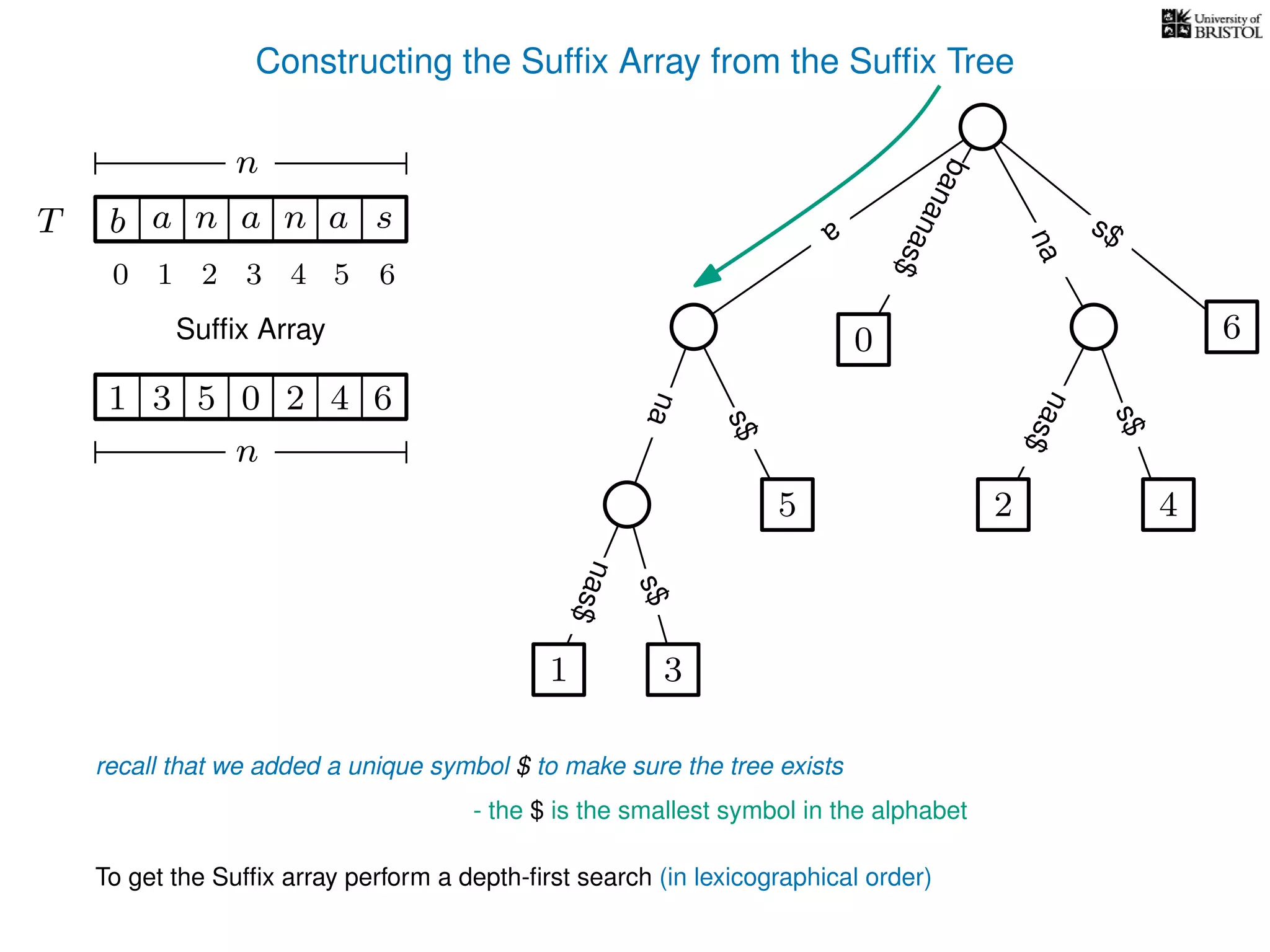 Constructing the Sufﬁx Array from the Sufﬁx Tree
a
s$
nas$
nas$
nas$
s$
na
s$
bananas$
1 3
5
0
2 4
6
T b n aaT a sn
n
Sufﬁx Array
recall that we added a unique symbol $ to make sure the tree exists
- the $ is the smallest symbol in the alphabet
1 0 625 43
n
To get the Sufﬁx array perform a depth-ﬁrst search (in lexicographical order)
10 2 3 4 5 6
 