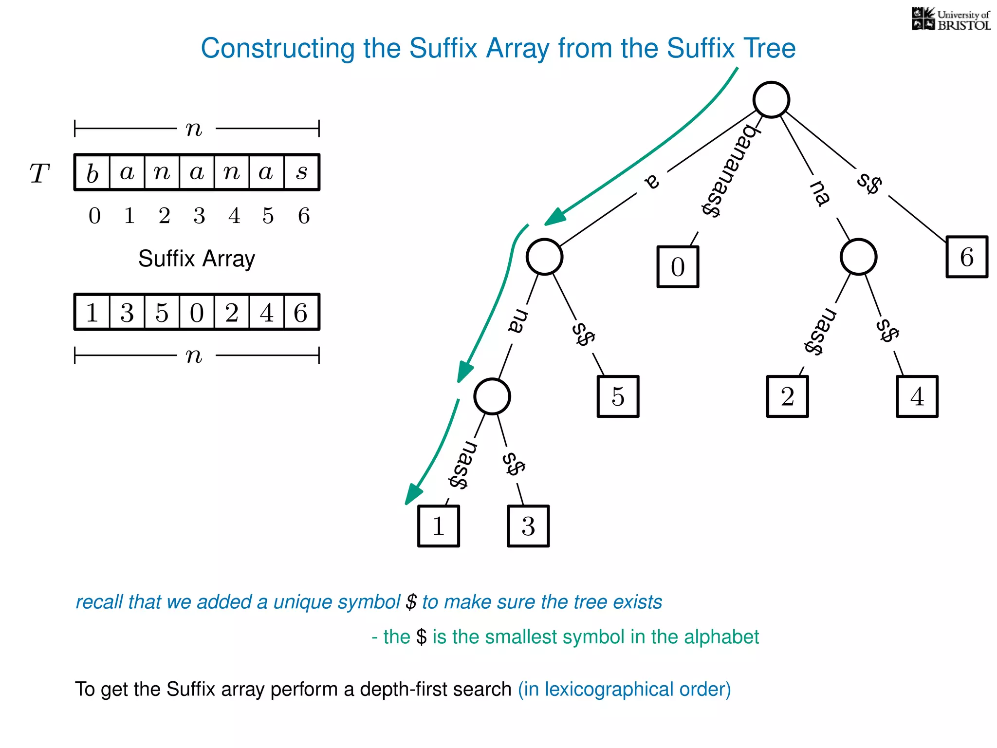 Constructing the Sufﬁx Array from the Sufﬁx Tree
a
s$
nas$
nas$
nas$
s$
na
s$
bananas$
1 3
5
0
2 4
6
T b n aaT a sn
n
Sufﬁx Array
recall that we added a unique symbol $ to make sure the tree exists
- the $ is the smallest symbol in the alphabet
1 0 625 43
n
To get the Sufﬁx array perform a depth-ﬁrst search (in lexicographical order)
10 2 3 4 5 6
 