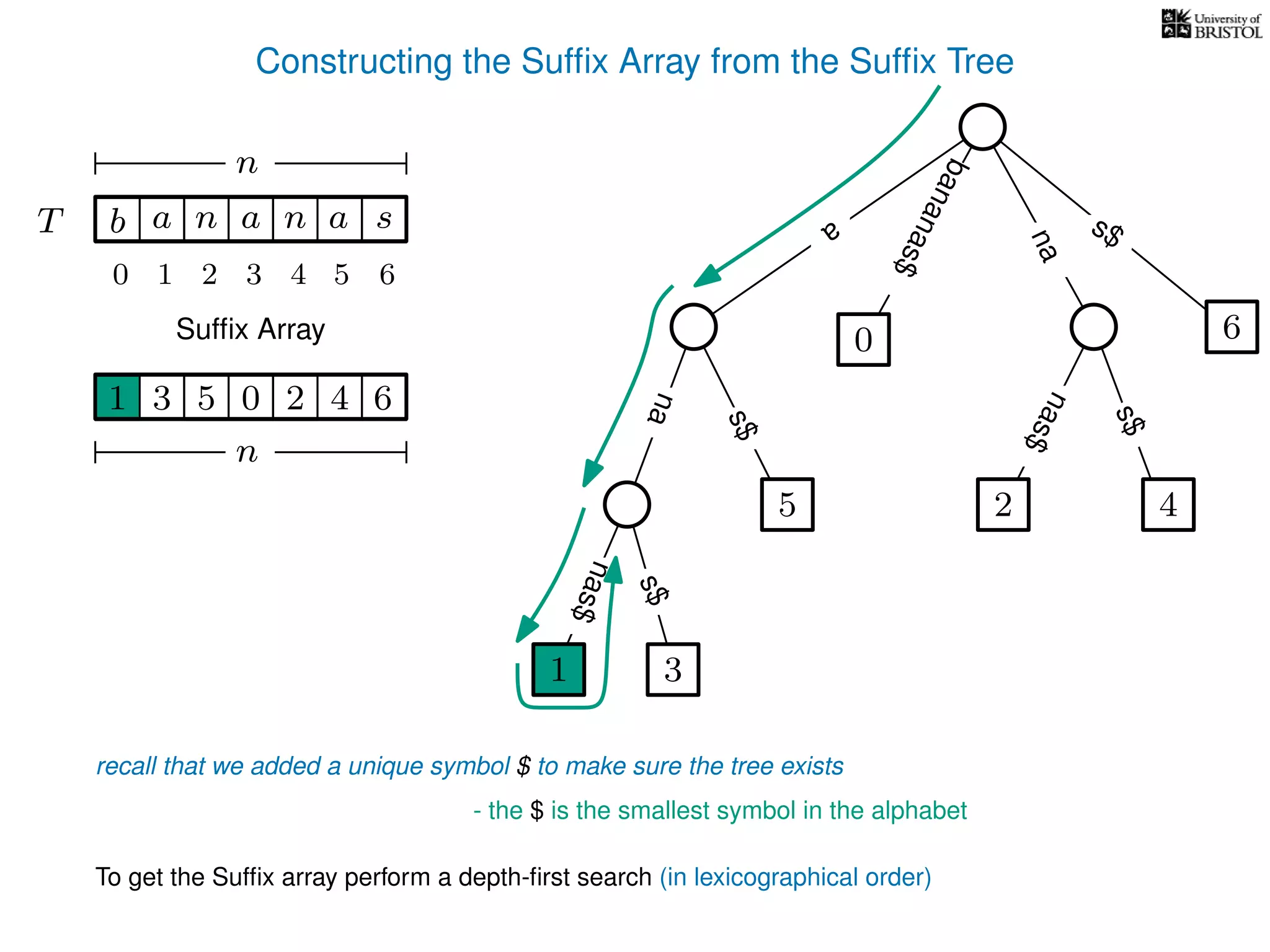 Constructing the Sufﬁx Array from the Sufﬁx Tree
a
s$
nas$
nas$
nas$
s$
na
s$
bananas$
1 3
5
0
2 4
6
T b n aaT a sn
n
Sufﬁx Array
recall that we added a unique symbol $ to make sure the tree exists
- the $ is the smallest symbol in the alphabet
1 0 625 43
n
To get the Sufﬁx array perform a depth-ﬁrst search (in lexicographical order)
1
10 2 3 4 5 6
 