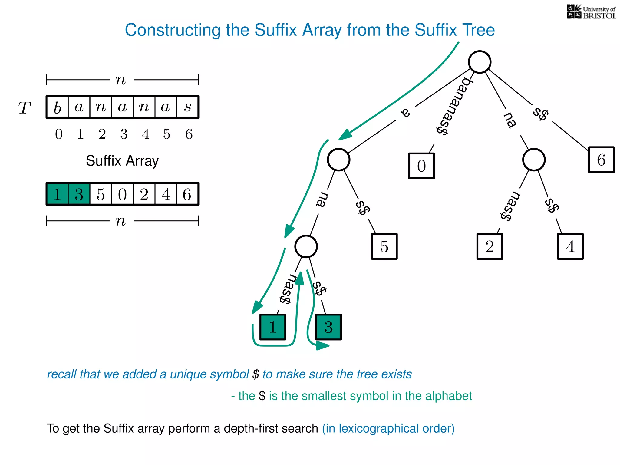 Constructing the Sufﬁx Array from the Sufﬁx Tree
a
s$
nas$
nas$
nas$
s$
na
s$
bananas$
1 3
5
0
2 4
6
T b n aaT a sn
n
Sufﬁx Array
recall that we added a unique symbol $ to make sure the tree exists
- the $ is the smallest symbol in the alphabet
1 0 625 43
n
To get the Sufﬁx array perform a depth-ﬁrst search (in lexicographical order)
1 3
10 2 3 4 5 6
 