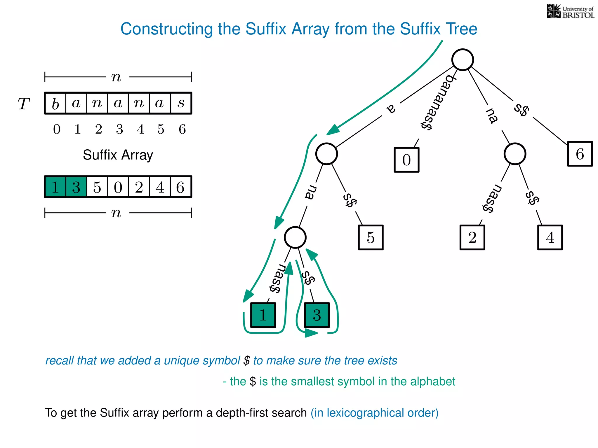 Constructing the Sufﬁx Array from the Sufﬁx Tree
a
s$
nas$
nas$
nas$
s$
na
s$
bananas$
1 3
5
0
2 4
6
T b n aaT a sn
n
Sufﬁx Array
recall that we added a unique symbol $ to make sure the tree exists
- the $ is the smallest symbol in the alphabet
1 0 625 43
n
To get the Sufﬁx array perform a depth-ﬁrst search (in lexicographical order)
1 3
10 2 3 4 5 6
 