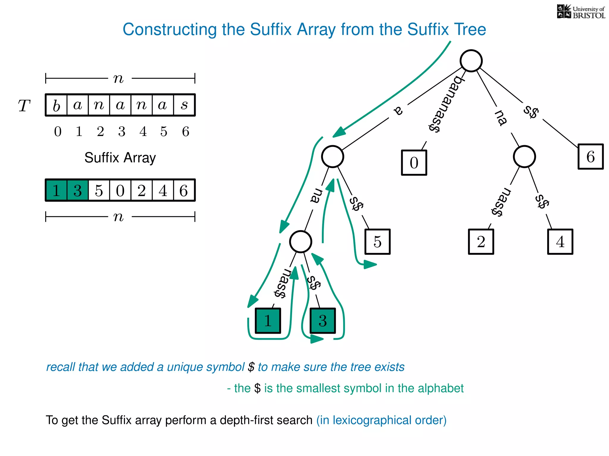 Constructing the Sufﬁx Array from the Sufﬁx Tree
a
s$
nas$
nas$
nas$
s$
na
s$
bananas$
1 3
5
0
2 4
6
T b n aaT a sn
n
Sufﬁx Array
recall that we added a unique symbol $ to make sure the tree exists
- the $ is the smallest symbol in the alphabet
1 0 625 43
n
To get the Sufﬁx array perform a depth-ﬁrst search (in lexicographical order)
1 3
10 2 3 4 5 6
 