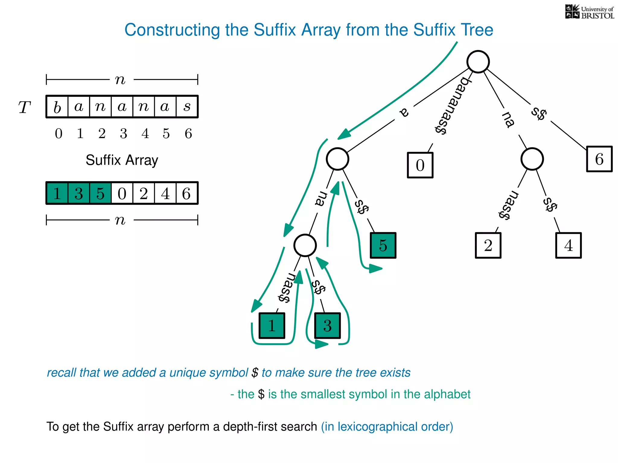 Constructing the Sufﬁx Array from the Sufﬁx Tree
a
s$
nas$
nas$
nas$
s$
na
s$
bananas$
1 3
5
0
2 4
6
T b n aaT a sn
n
Sufﬁx Array
recall that we added a unique symbol $ to make sure the tree exists
- the $ is the smallest symbol in the alphabet
1 0 625 43
n
To get the Sufﬁx array perform a depth-ﬁrst search (in lexicographical order)
1 3
5
10 2 3 4 5 6
 