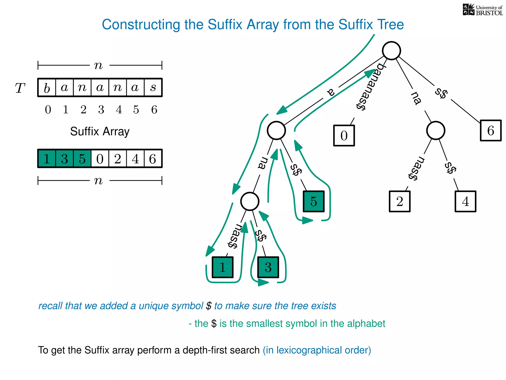 Constructing the Sufﬁx Array from the Sufﬁx Tree
a
s$
nas$
nas$
nas$
s$
na
s$
bananas$
1 3
5
0
2 4
6
T b n aaT a sn
n
Sufﬁx Array
recall that we added a unique symbol $ to make sure the tree exists
- the $ is the smallest symbol in the alphabet
1 0 625 43
n
To get the Sufﬁx array perform a depth-ﬁrst search (in lexicographical order)
1 3
5
10 2 3 4 5 6
 