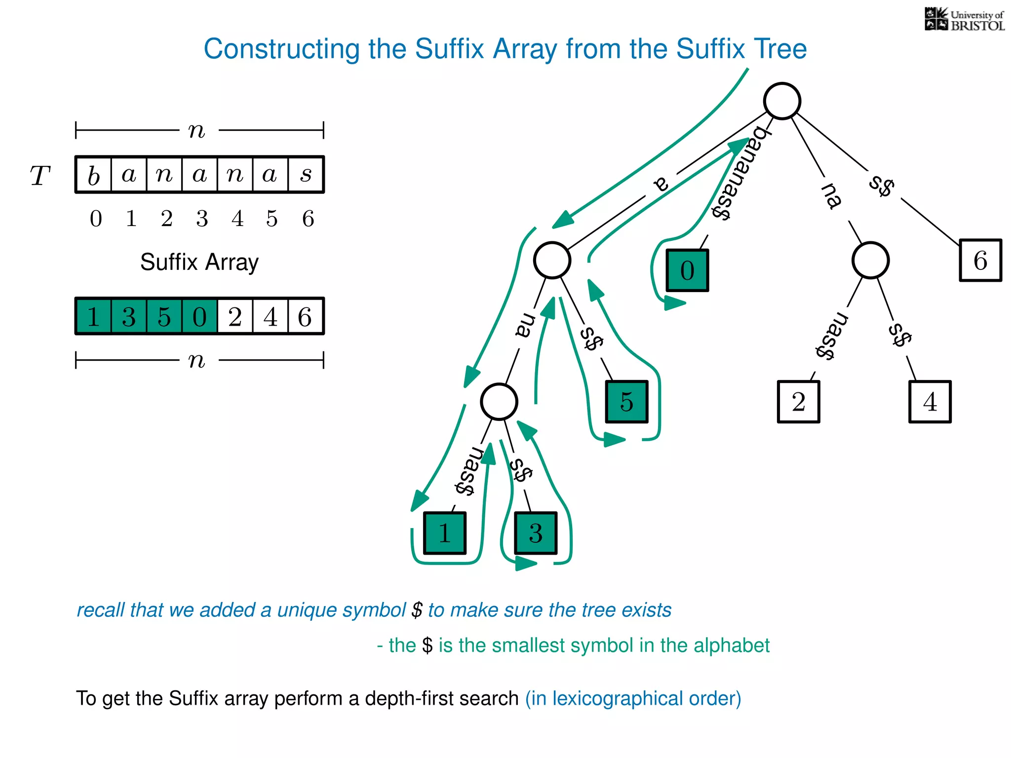 Constructing the Sufﬁx Array from the Sufﬁx Tree
a
s$
nas$
nas$
nas$
s$
na
s$
bananas$
1 3
5
0
2 4
6
T b n aaT a sn
n
Sufﬁx Array
recall that we added a unique symbol $ to make sure the tree exists
- the $ is the smallest symbol in the alphabet
1 0 625 43
n
To get the Sufﬁx array perform a depth-ﬁrst search (in lexicographical order)
1 3
5
0
10 2 3 4 5 6
 