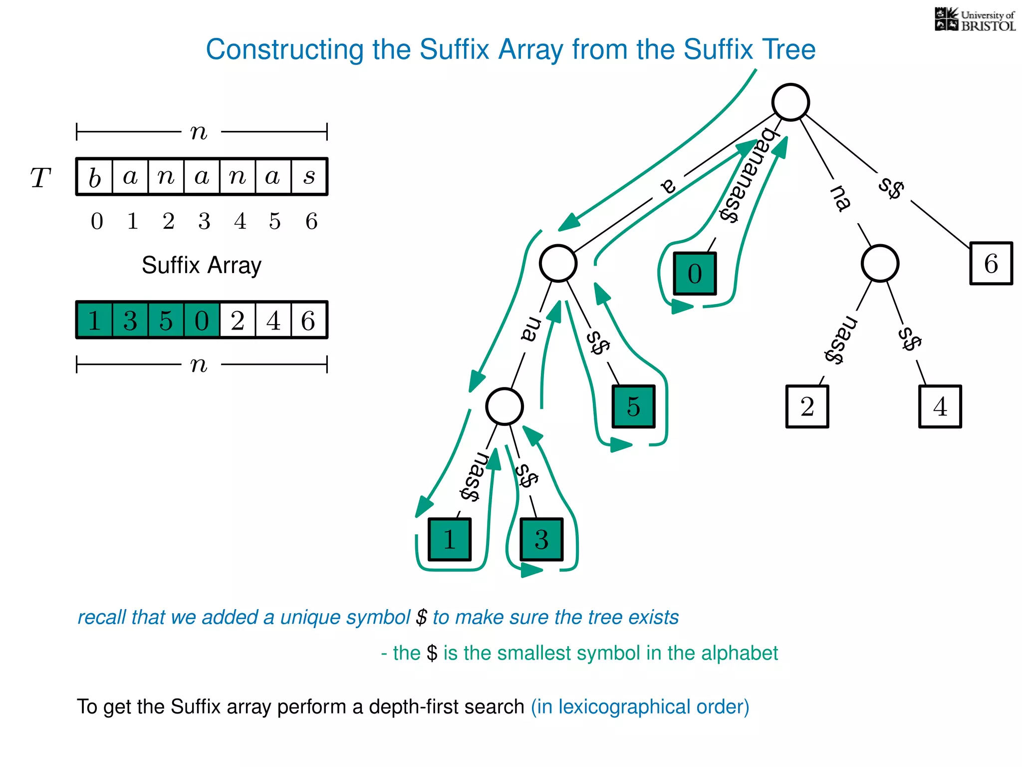 Constructing the Sufﬁx Array from the Sufﬁx Tree
a
s$
nas$
nas$
nas$
s$
na
s$
bananas$
1 3
5
0
2 4
6
T b n aaT a sn
n
Sufﬁx Array
recall that we added a unique symbol $ to make sure the tree exists
- the $ is the smallest symbol in the alphabet
1 0 625 43
n
To get the Sufﬁx array perform a depth-ﬁrst search (in lexicographical order)
1 3
5
0
10 2 3 4 5 6
 