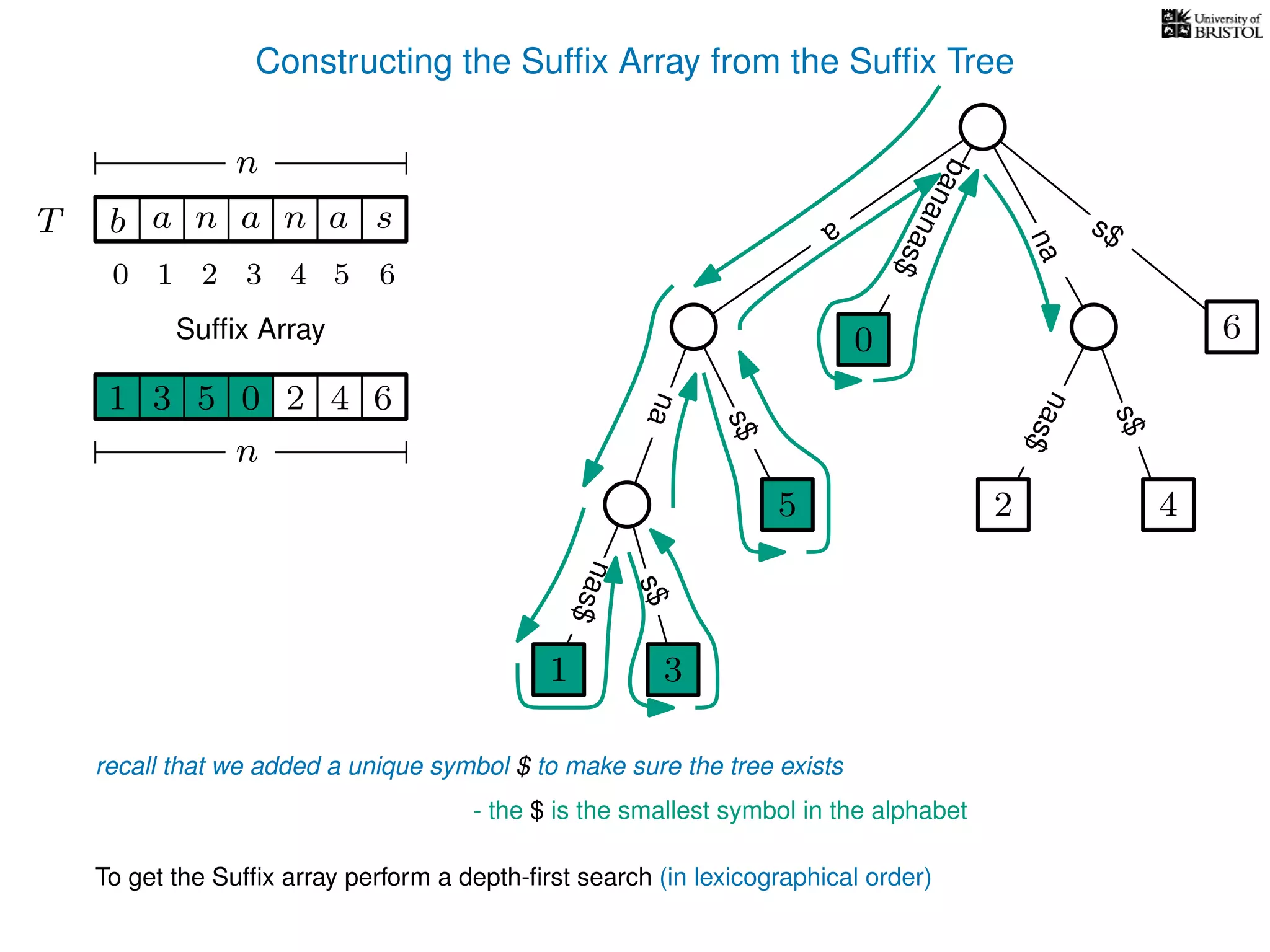 Constructing the Sufﬁx Array from the Sufﬁx Tree
a
s$
nas$
nas$
nas$
s$
na
s$
bananas$
1 3
5
0
2 4
6
T b n aaT a sn
n
Sufﬁx Array
recall that we added a unique symbol $ to make sure the tree exists
- the $ is the smallest symbol in the alphabet
1 0 625 43
n
To get the Sufﬁx array perform a depth-ﬁrst search (in lexicographical order)
1 3
5
0
10 2 3 4 5 6
 