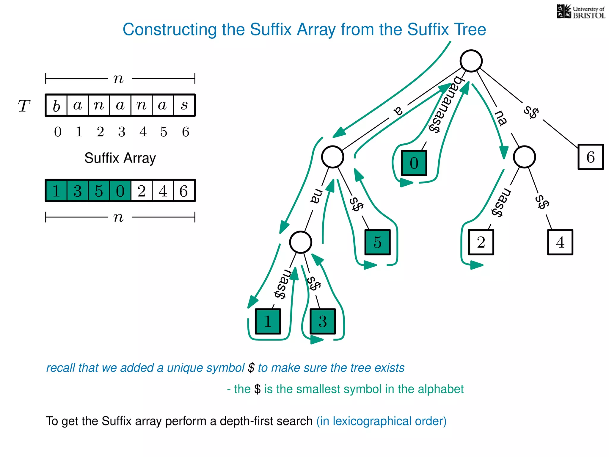 Constructing the Sufﬁx Array from the Sufﬁx Tree
a
s$
nas$
nas$
nas$
s$
na
s$
bananas$
1 3
5
0
2 4
6
T b n aaT a sn
n
Sufﬁx Array
recall that we added a unique symbol $ to make sure the tree exists
- the $ is the smallest symbol in the alphabet
1 0 625 43
n
To get the Sufﬁx array perform a depth-ﬁrst search (in lexicographical order)
1 3
5
0
10 2 3 4 5 6
 