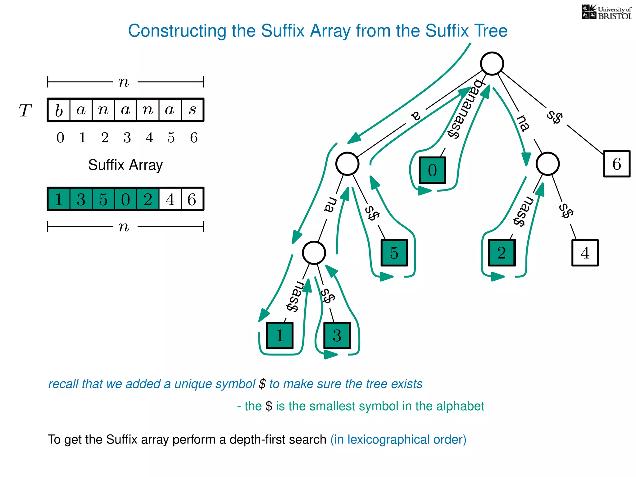 Constructing the Sufﬁx Array from the Sufﬁx Tree
a
s$
nas$
nas$
nas$
s$
na
s$
bananas$
1 3
5
0
2 4
6
T b n aaT a sn
n
Sufﬁx Array
recall that we added a unique symbol $ to make sure the tree exists
- the $ is the smallest symbol in the alphabet
1 0 625 43
n
To get the Sufﬁx array perform a depth-ﬁrst search (in lexicographical order)
1 3
5
0
2
10 2 3 4 5 6
 
