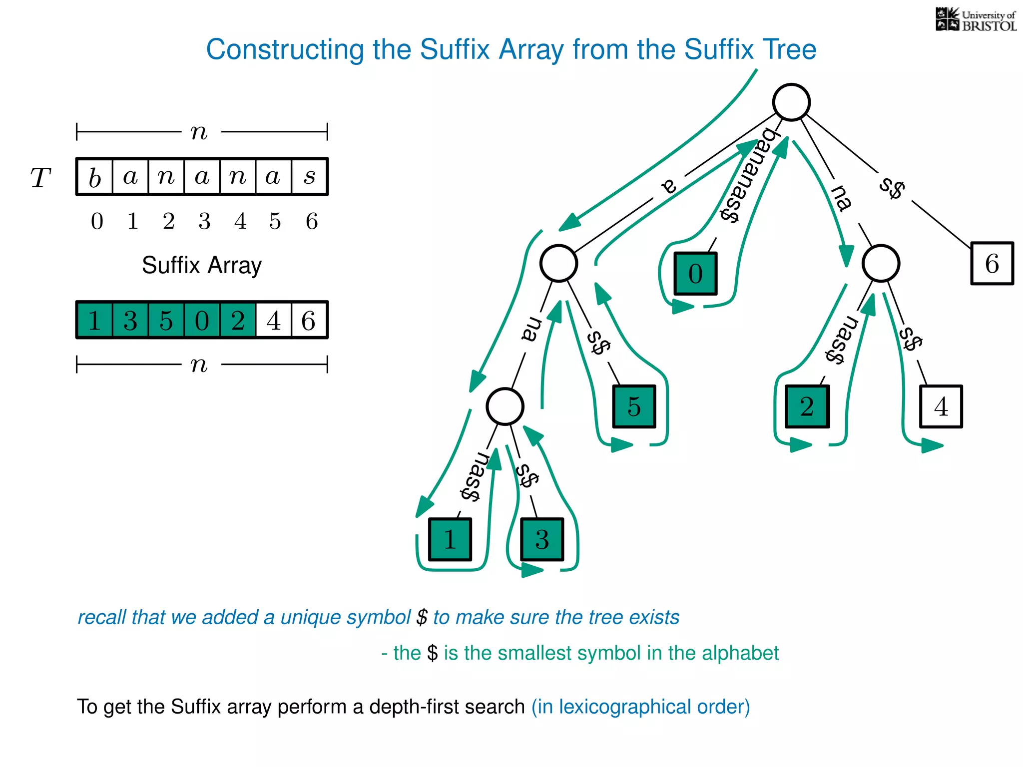 Constructing the Sufﬁx Array from the Sufﬁx Tree
a
s$
nas$
nas$
nas$
s$
na
s$
bananas$
1 3
5
0
2 4
6
T b n aaT a sn
n
Sufﬁx Array
recall that we added a unique symbol $ to make sure the tree exists
- the $ is the smallest symbol in the alphabet
1 0 625 43
n
To get the Sufﬁx array perform a depth-ﬁrst search (in lexicographical order)
1 3
5
0
2
10 2 3 4 5 6
 
