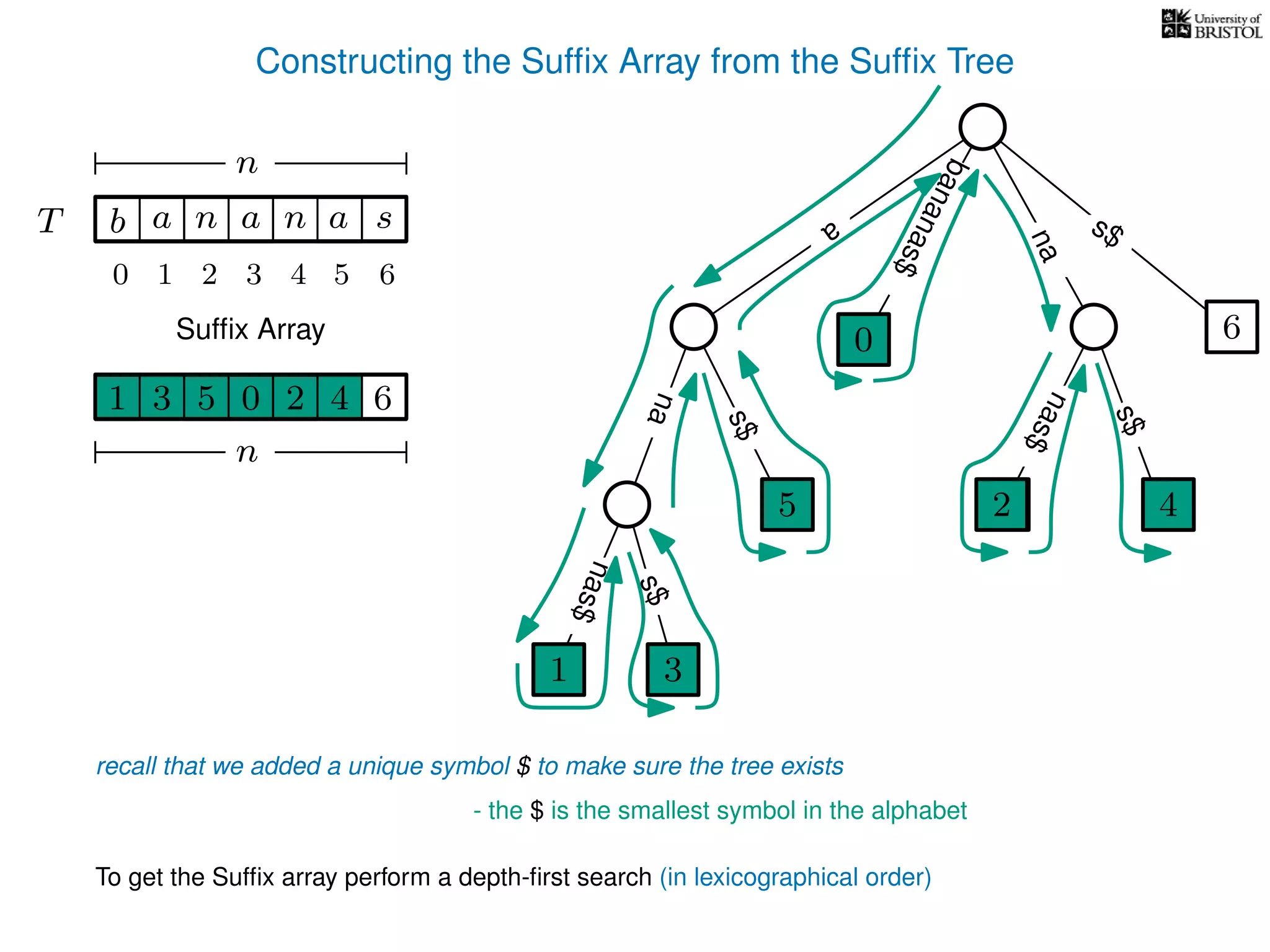 Constructing the Sufﬁx Array from the Sufﬁx Tree
a
s$
nas$
nas$
nas$
s$
na
s$
bananas$
1 3
5
0
2 4
6
T b n aaT a sn
n
Sufﬁx Array
recall that we added a unique symbol $ to make sure the tree exists
- the $ is the smallest symbol in the alphabet
1 0 625 43
n
To get the Sufﬁx array perform a depth-ﬁrst search (in lexicographical order)
1 3
5
0
2 4
10 2 3 4 5 6
 