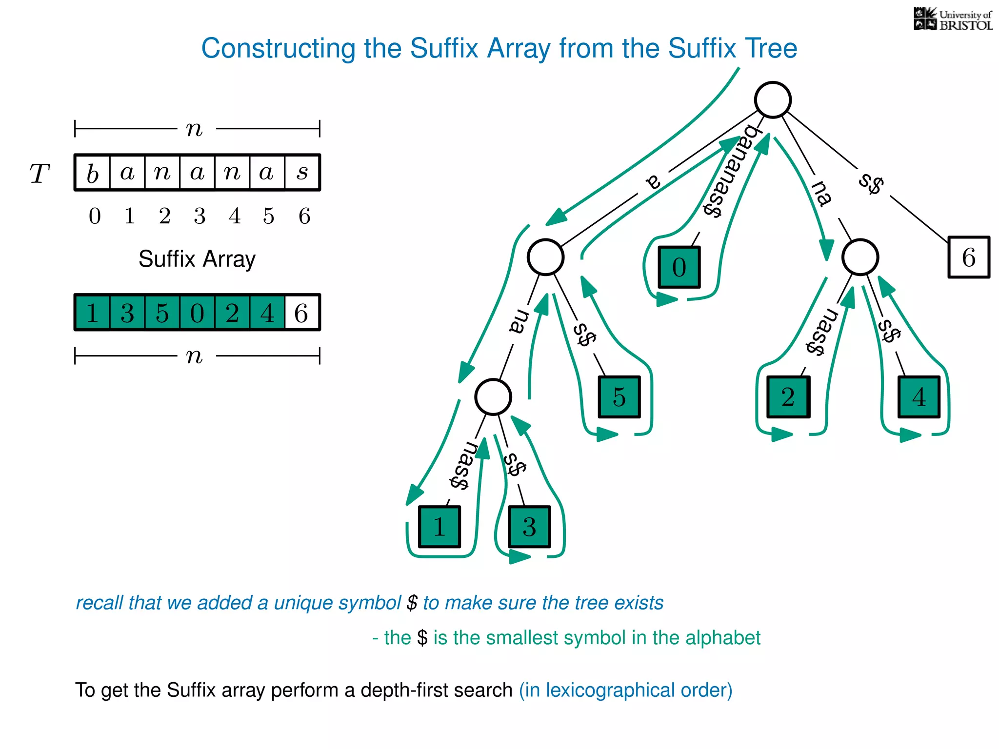 Constructing the Sufﬁx Array from the Sufﬁx Tree
a
s$
nas$
nas$
nas$
s$
na
s$
bananas$
1 3
5
0
2 4
6
T b n aaT a sn
n
Sufﬁx Array
recall that we added a unique symbol $ to make sure the tree exists
- the $ is the smallest symbol in the alphabet
1 0 625 43
n
To get the Sufﬁx array perform a depth-ﬁrst search (in lexicographical order)
1 3
5
0
2 4
10 2 3 4 5 6
 