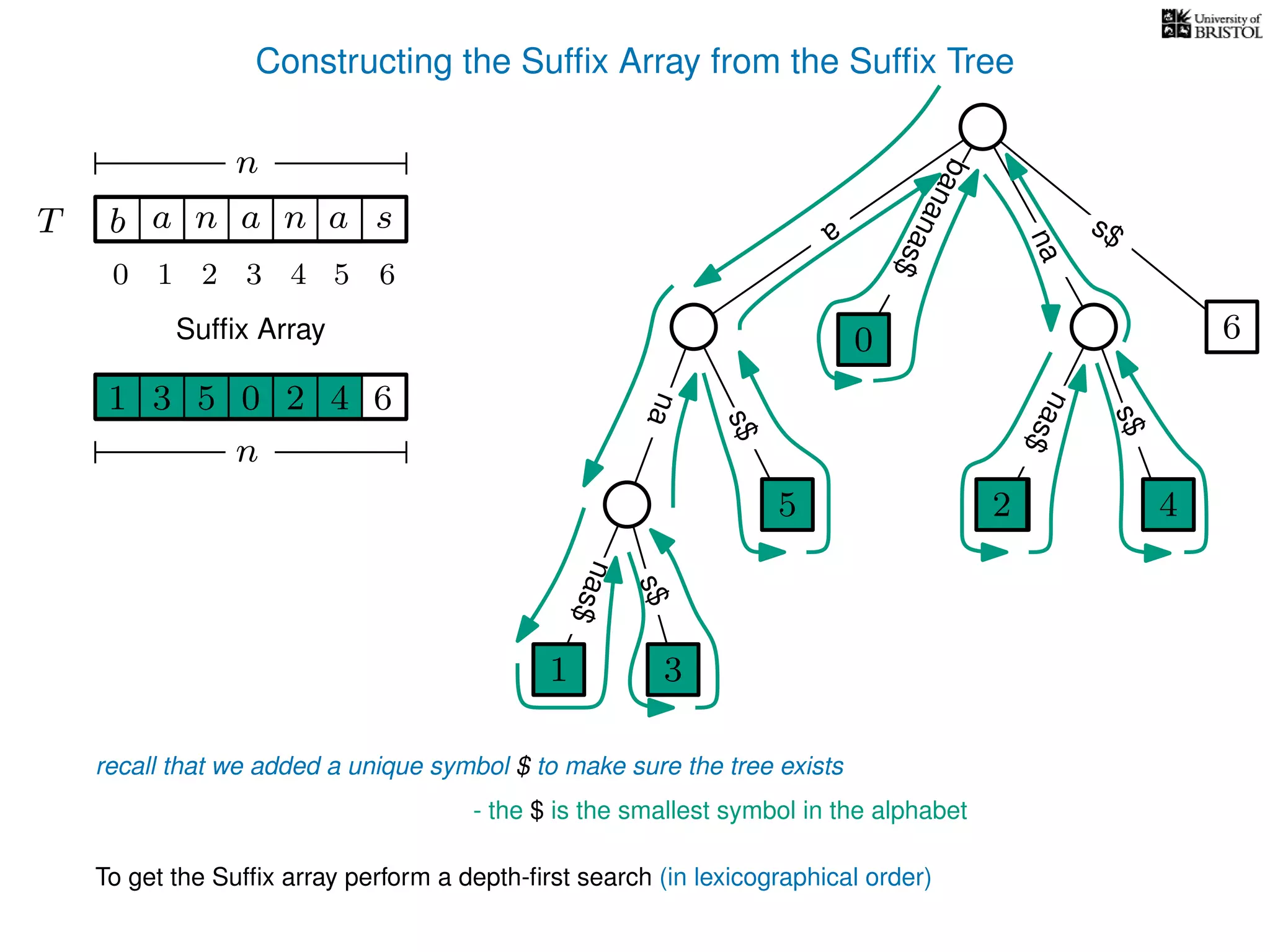 Constructing the Sufﬁx Array from the Sufﬁx Tree
a
s$
nas$
nas$
nas$
s$
na
s$
bananas$
1 3
5
0
2 4
6
T b n aaT a sn
n
Sufﬁx Array
recall that we added a unique symbol $ to make sure the tree exists
- the $ is the smallest symbol in the alphabet
1 0 625 43
n
To get the Sufﬁx array perform a depth-ﬁrst search (in lexicographical order)
1 3
5
0
2 4
10 2 3 4 5 6
 