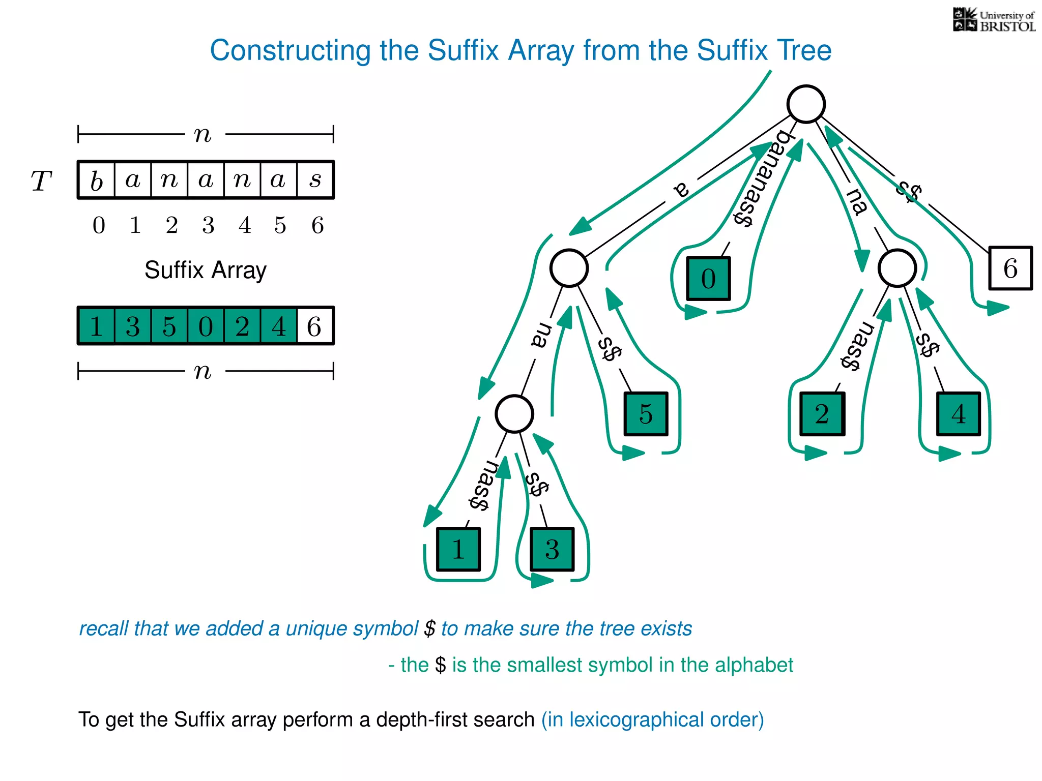 Constructing the Sufﬁx Array from the Sufﬁx Tree
a
s$
nas$
nas$
nas$
s$
na
s$
bananas$
1 3
5
0
2 4
6
T b n aaT a sn
n
Sufﬁx Array
recall that we added a unique symbol $ to make sure the tree exists
- the $ is the smallest symbol in the alphabet
1 0 625 43
n
To get the Sufﬁx array perform a depth-ﬁrst search (in lexicographical order)
1 3
5
0
2 4
10 2 3 4 5 6
 