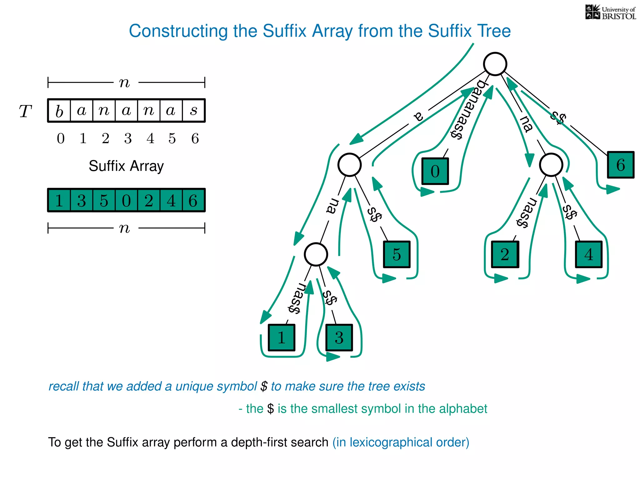 Constructing the Sufﬁx Array from the Sufﬁx Tree
a
s$
nas$
nas$
nas$
s$
na
s$
bananas$
1 3
5
0
2 4
6
T b n aaT a sn
n
Sufﬁx Array
recall that we added a unique symbol $ to make sure the tree exists
- the $ is the smallest symbol in the alphabet
1 0 625 43
n
To get the Sufﬁx array perform a depth-ﬁrst search (in lexicographical order)
1 3
5
0
2 4
6
10 2 3 4 5 6
 