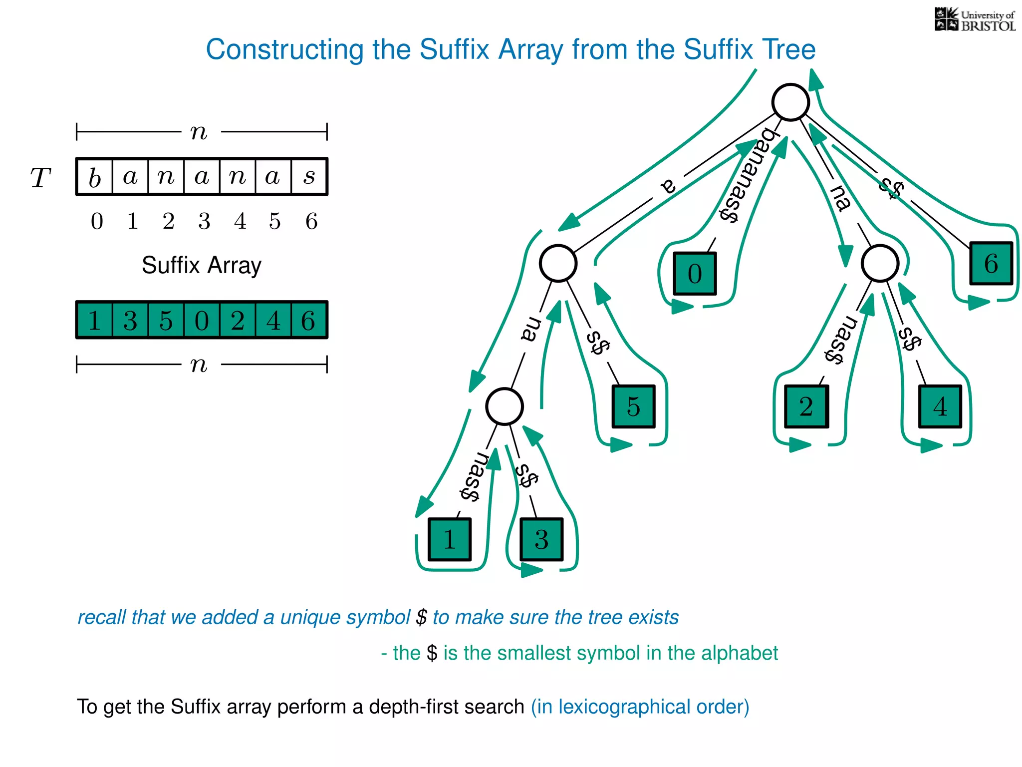 Constructing the Sufﬁx Array from the Sufﬁx Tree
a
s$
nas$
nas$
nas$
s$
na
s$
bananas$
1 3
5
0
2 4
6
T b n aaT a sn
n
Sufﬁx Array
recall that we added a unique symbol $ to make sure the tree exists
- the $ is the smallest symbol in the alphabet
1 0 625 43
n
To get the Sufﬁx array perform a depth-ﬁrst search (in lexicographical order)
1 3
5
0
2 4
6
10 2 3 4 5 6
 