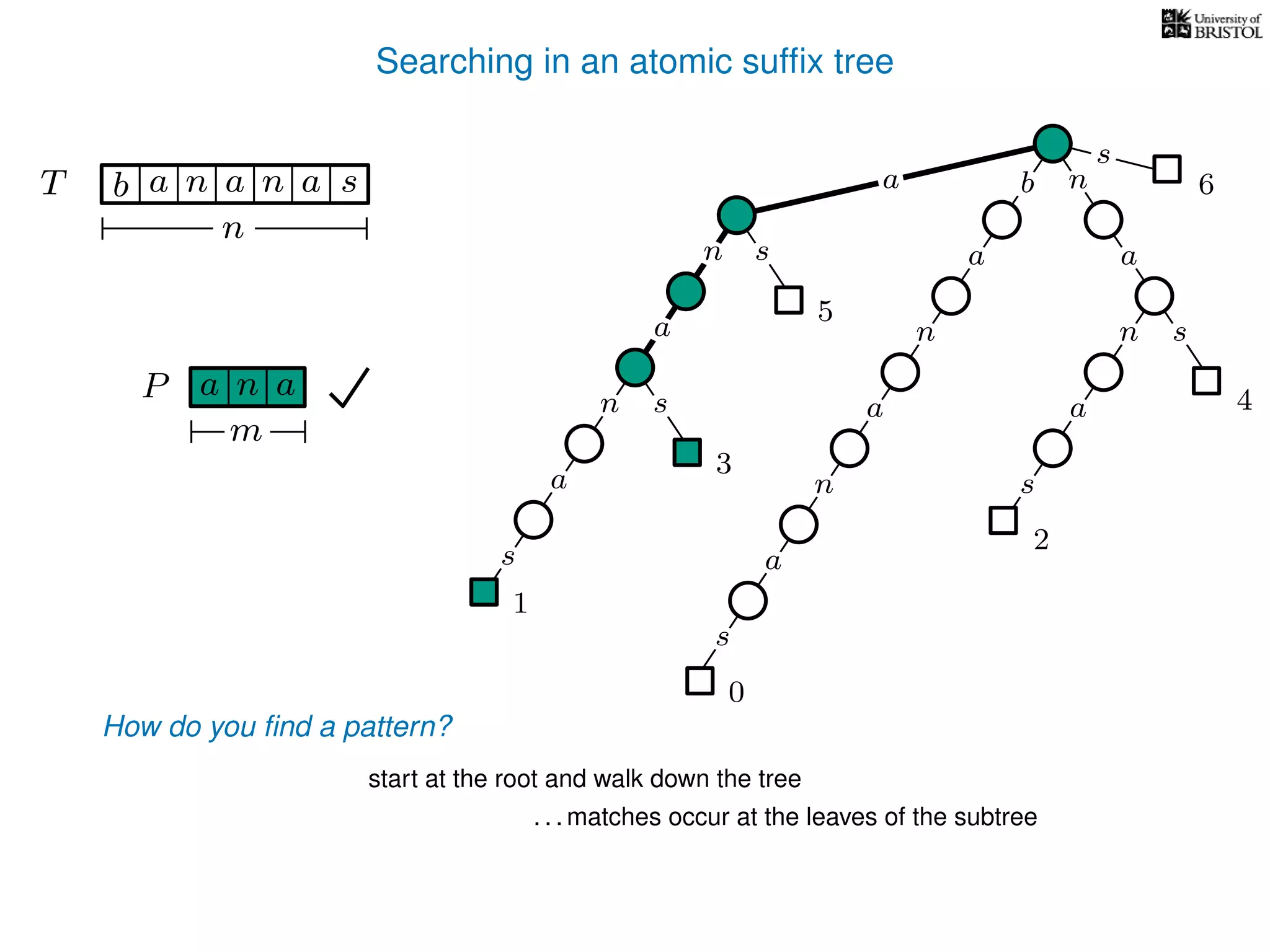 Searching in an atomic sufﬁx tree
sn
a
s
n
a
s
a
n
a
s
TT b n aaa sn
n
s
b n
a
sn
a
n
a
s
How do you ﬁnd a pattern?
0
1
2
3
4
5
P aa n
m
start at the root and walk down the tree
a
. . . matches occur at the leaves of the subtree
6
 