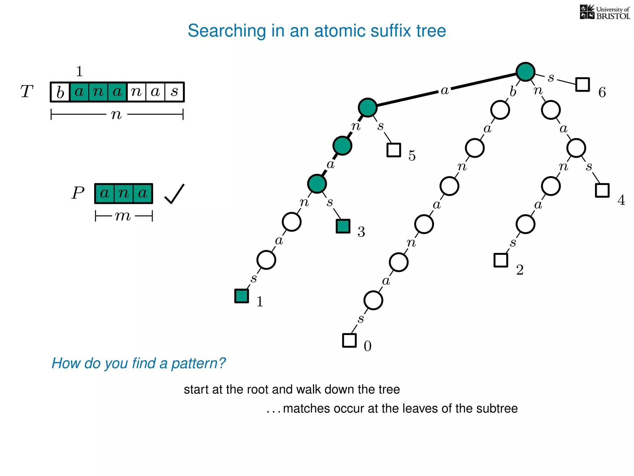 Searching in an atomic sufﬁx tree
sn
a
s
n
a
s
a
n
a
s
TT b n aaa sn
n
s
b n
a
sn
a
n
a
s
How do you ﬁnd a pattern?
0
1
2
3
4
5
P aa n
m
start at the root and walk down the tree
a
. . . matches occur at the leaves of the subtree
1
6
 