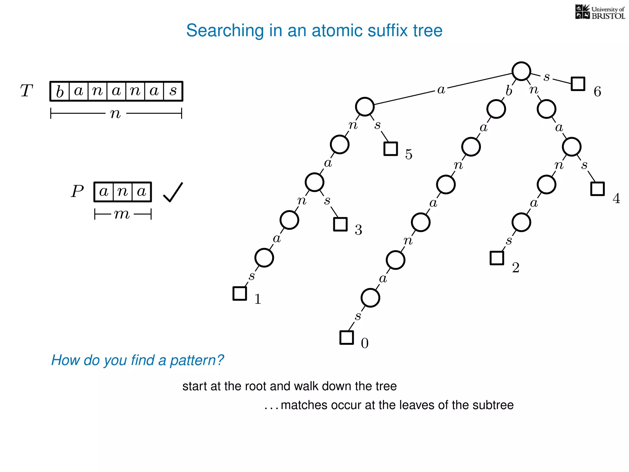 Searching in an atomic sufﬁx tree
sn
a
s
n
a
s
a
n
a
s
TT b n aaa sn
n
s
b n
a
sn
a
n
a
s
How do you ﬁnd a pattern?
0
1
2
3
4
5
P aa n
m
start at the root and walk down the tree
a
. . . matches occur at the leaves of the subtree
6
 