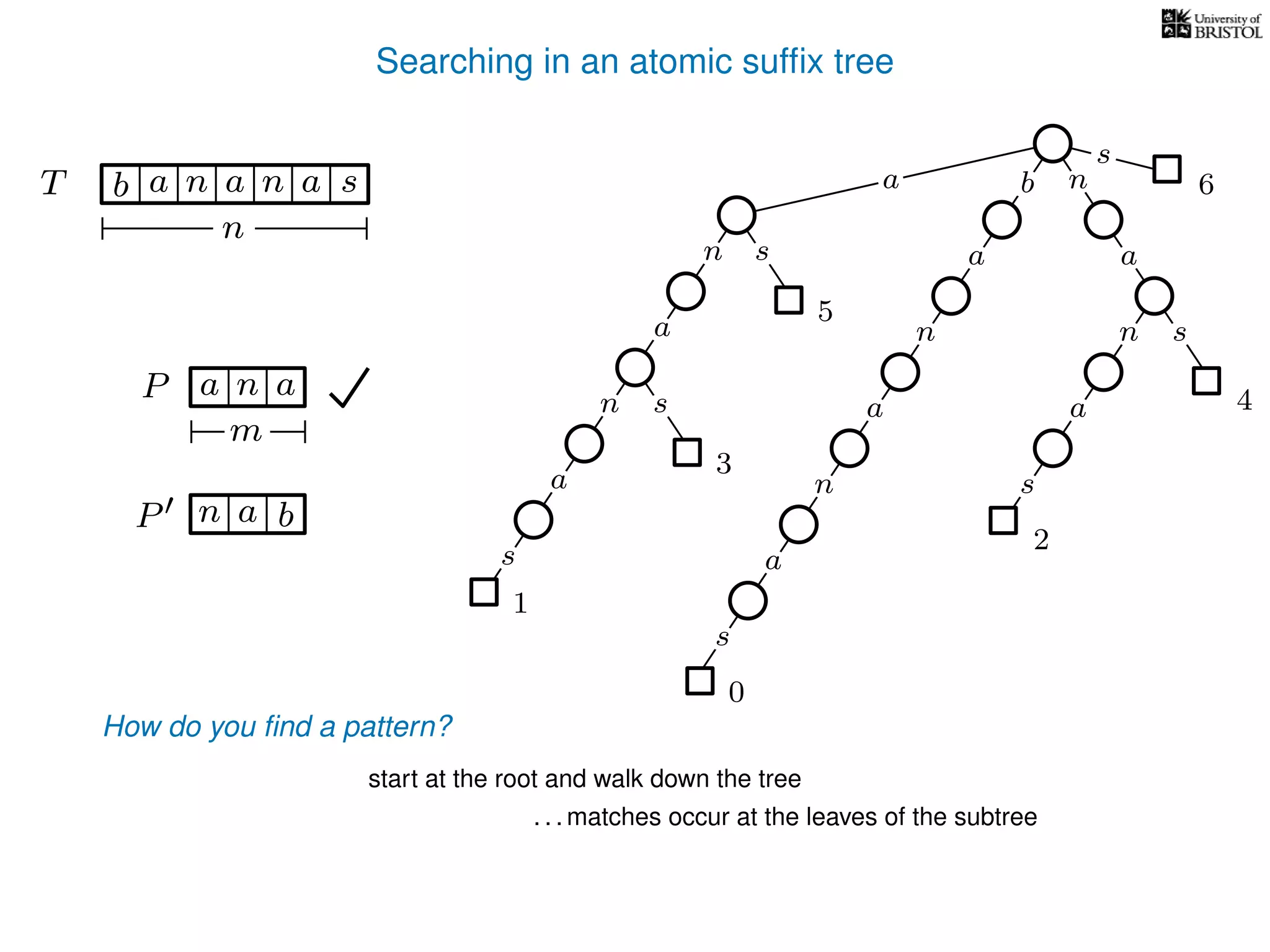 Searching in an atomic sufﬁx tree
sn
a
s
n
a
s
a
n
a
s
TT b n aaa sn
n
s
b n
a
sn
a
n
a
s
How do you ﬁnd a pattern?
0
1
2
3
4
5
P aa n
m
start at the root and walk down the tree
a
. . . matches occur at the leaves of the subtree
P bn a
6
 