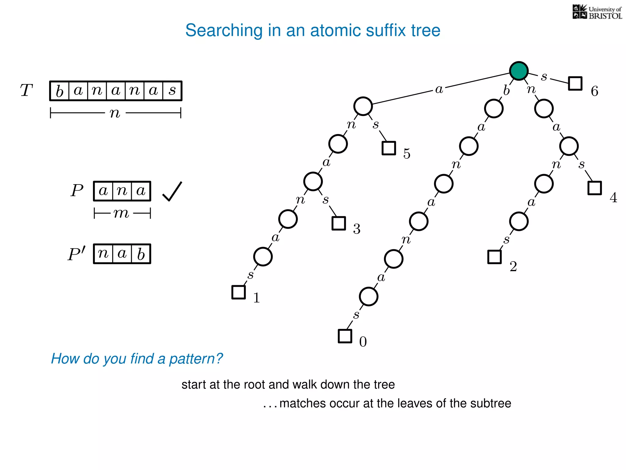 Searching in an atomic sufﬁx tree
sn
a
s
n
a
s
a
n
a
s
TT b n aaa sn
n
s
b n
a
sn
a
n
a
s
How do you ﬁnd a pattern?
0
1
2
3
4
5
P aa n
m
start at the root and walk down the tree
a
. . . matches occur at the leaves of the subtree
P bn a
6
 