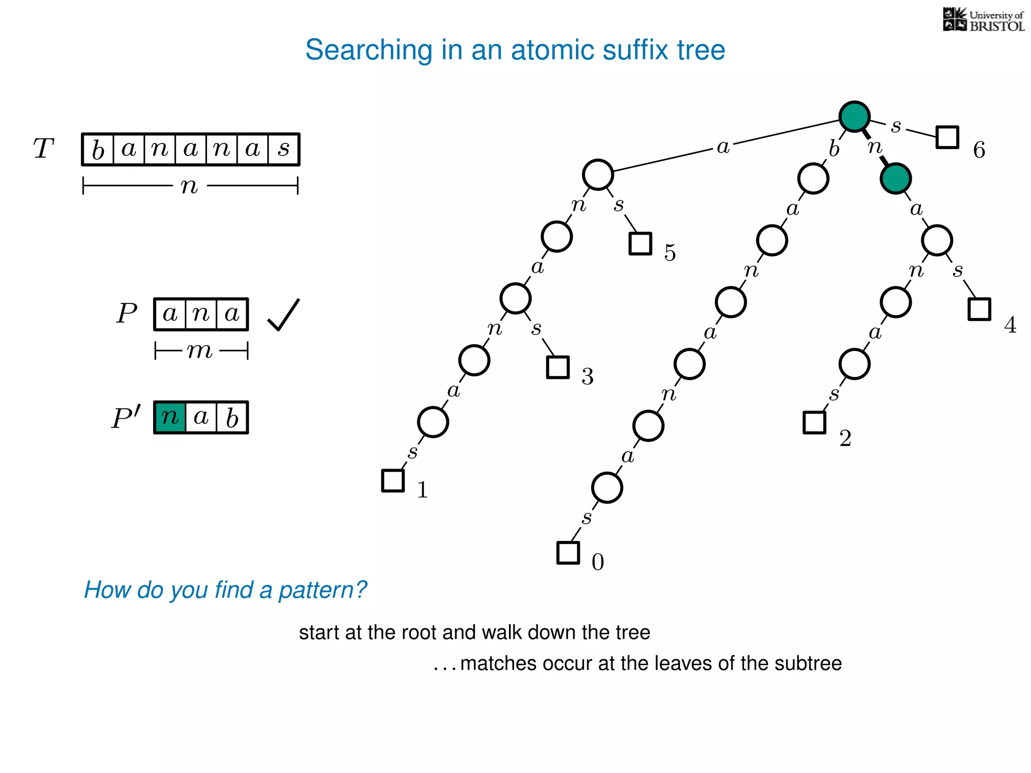 Searching in an atomic sufﬁx tree
sn
a
s
n
a
s
a
n
a
s
TT b n aaa sn
n
s
b n
a
sn
a
n
a
s
How do you ﬁnd a pattern?
0
1
2
3
4
5
P aa n
m
start at the root and walk down the tree
a
. . . matches occur at the leaves of the subtree
P bn a
6
 