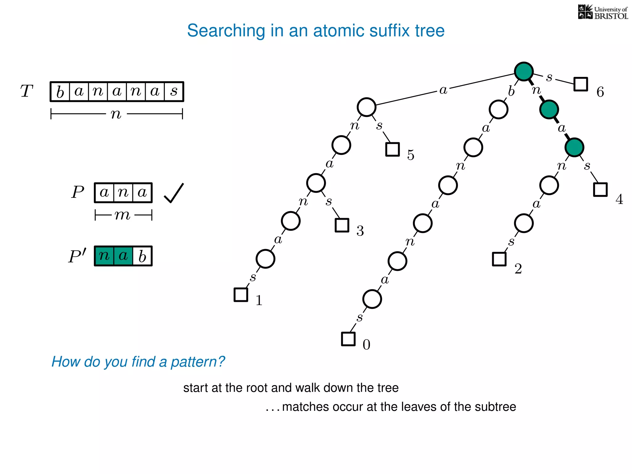 Searching in an atomic sufﬁx tree
sn
a
s
n
a
s
a
n
a
s
TT b n aaa sn
n
s
b n
a
sn
a
n
a
s
How do you ﬁnd a pattern?
0
1
2
3
4
5
P aa n
m
start at the root and walk down the tree
a
. . . matches occur at the leaves of the subtree
P bn a
6
 