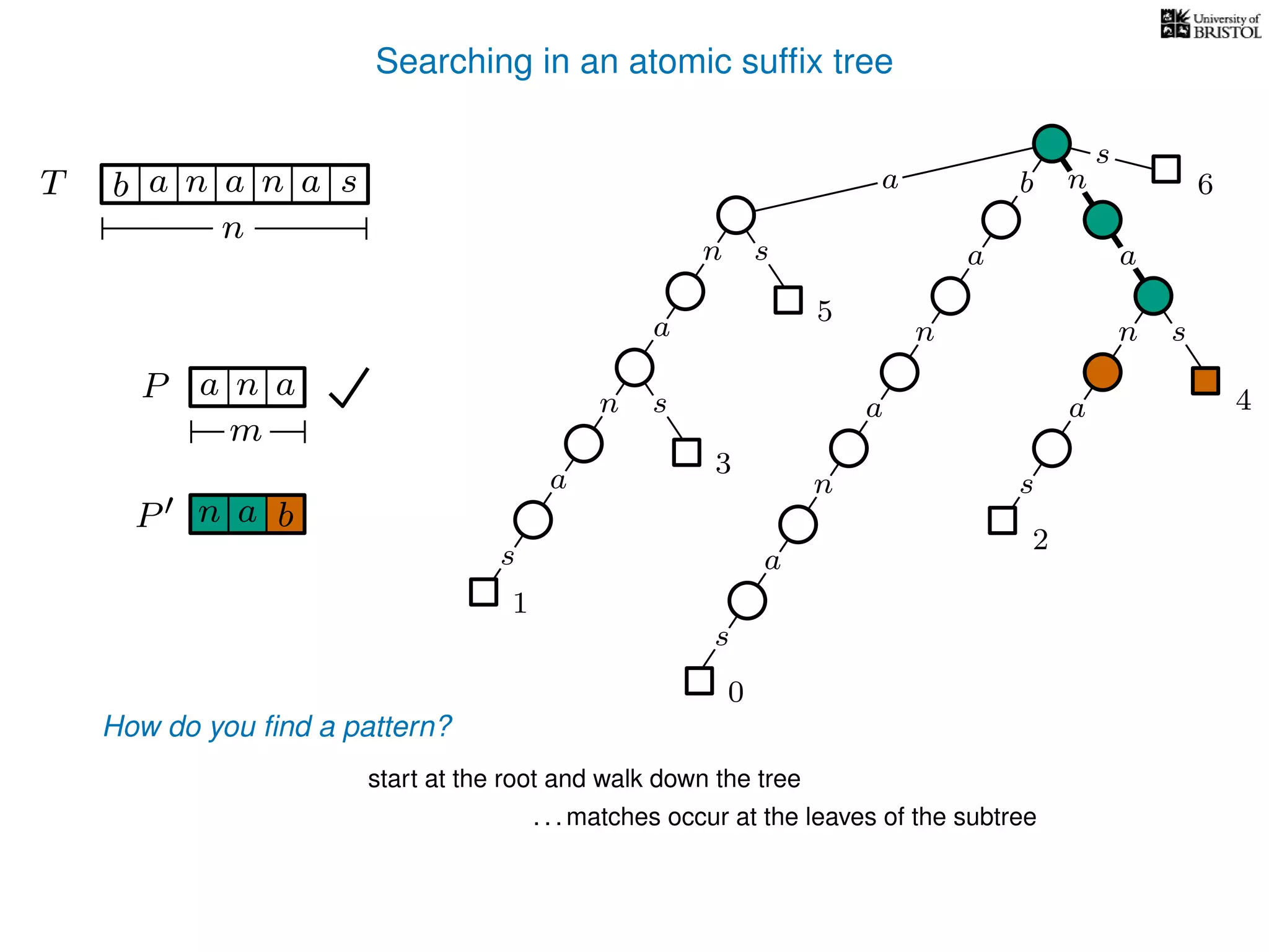 Searching in an atomic sufﬁx tree
sn
a
s
n
a
s
a
n
a
s
TT b n aaa sn
n
s
b n
a
sn
a
n
a
s
How do you ﬁnd a pattern?
0
1
2
3
4
5
P aa n
m
start at the root and walk down the tree
a
. . . matches occur at the leaves of the subtree
P bn a
6
 