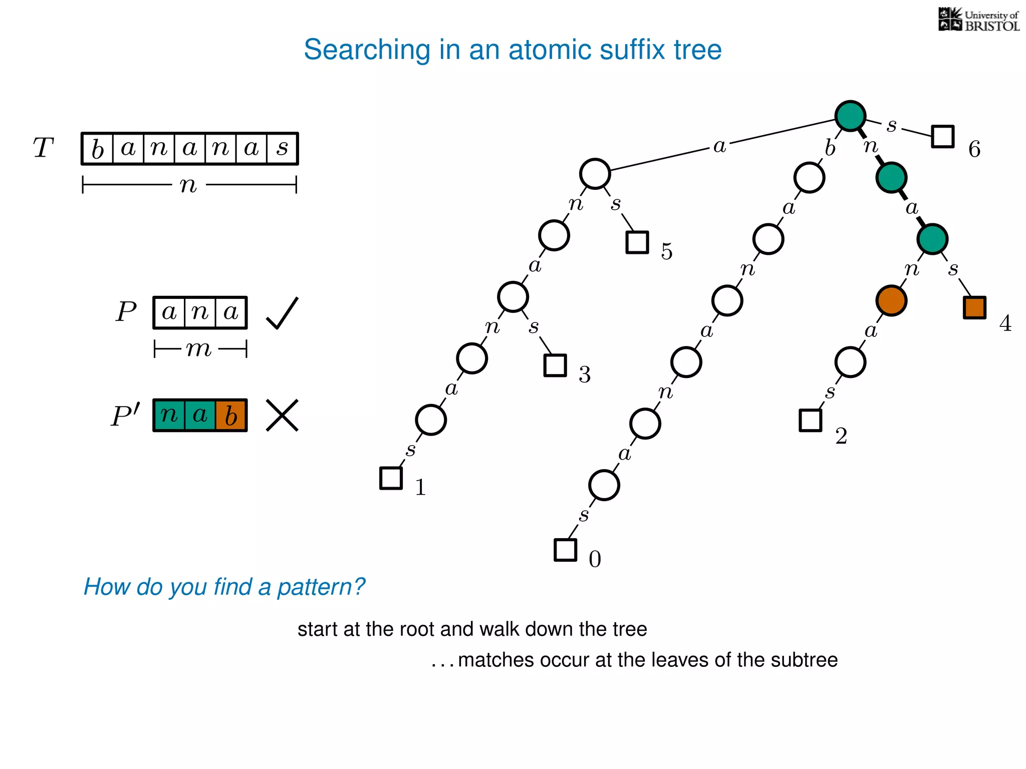 Searching in an atomic sufﬁx tree
sn
a
s
n
a
s
a
n
a
s
TT b n aaa sn
n
s
b n
a
sn
a
n
a
s
How do you ﬁnd a pattern?
0
1
2
3
4
5
P aa n
m
start at the root and walk down the tree
a
. . . matches occur at the leaves of the subtree
P bn a
6
 