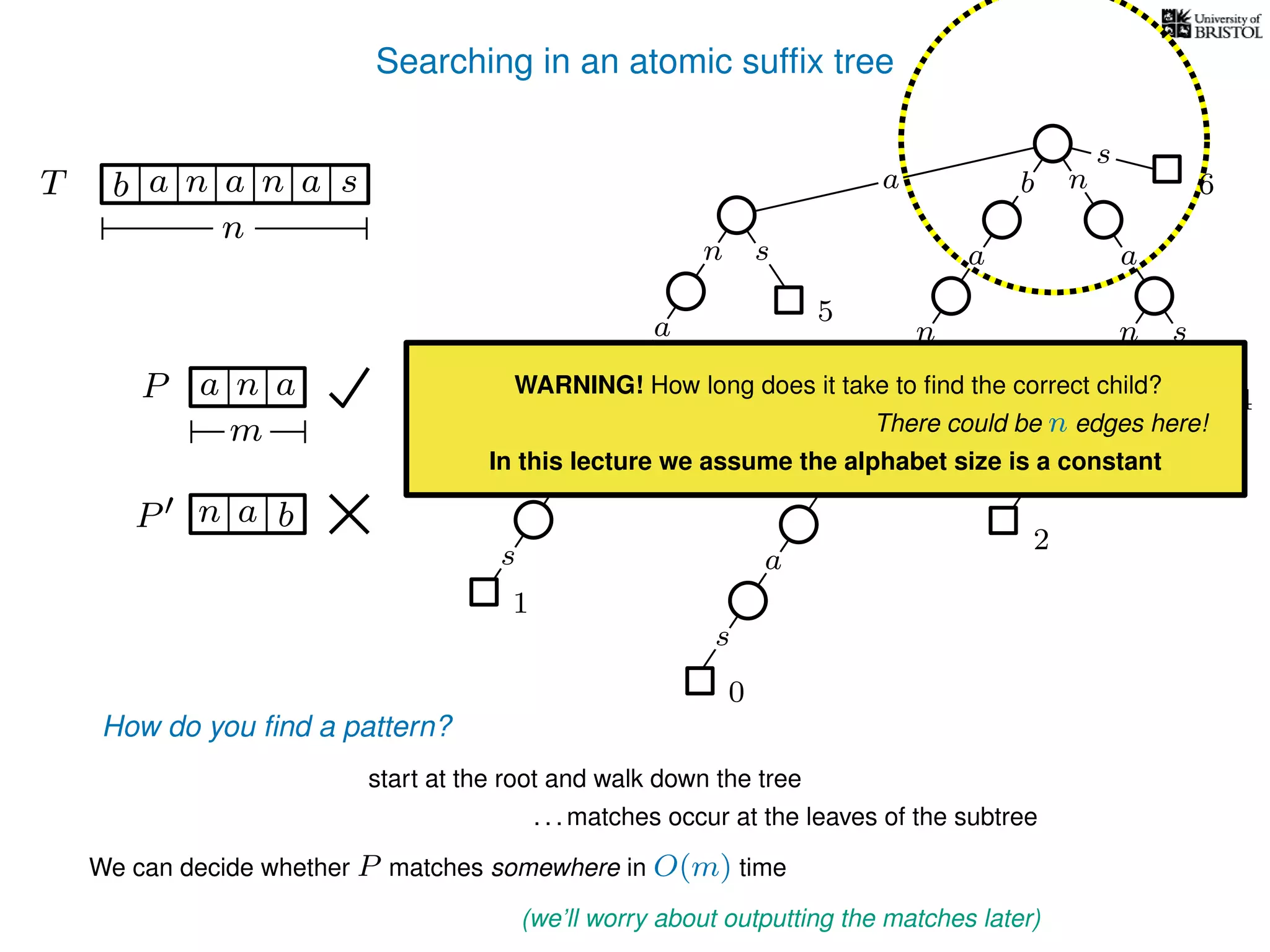 Searching in an atomic sufﬁx tree
sn
a
s
n
a
s
a
n
a
s
TT b n aaa sn
n
s
b n
a
sn
a
n
a
s
How do you ﬁnd a pattern?
0
1
2
3
4
5
P aa n
m
start at the root and walk down the tree
a
. . . matches occur at the leaves of the subtree
We can decide whether P matches somewhere in O(m) time
(we’ll worry about outputting the matches later)
WARNING! How long does it take to ﬁnd the correct child?
There could be n edges here!
In this lecture we assume the alphabet size is a constant
P bn a
6
 