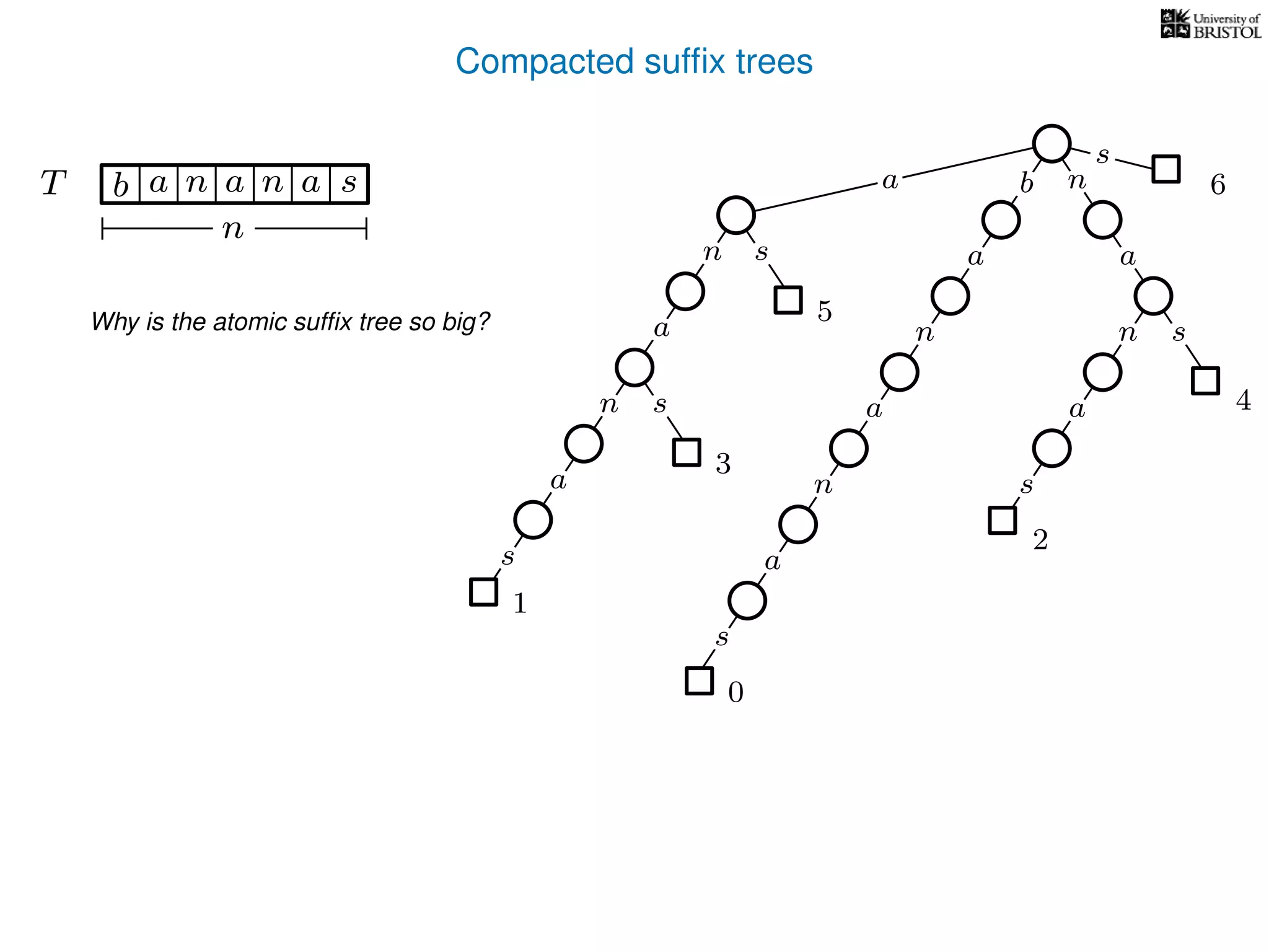 Compacted sufﬁx trees
sn
a
s
n
a
s
a
n
a
s
TT b n aaa sn
n
s
b n
a
sn
a
n
a
s
0
1
2
3
4
5
6a
Why is the atomic sufﬁx tree so big?
 
