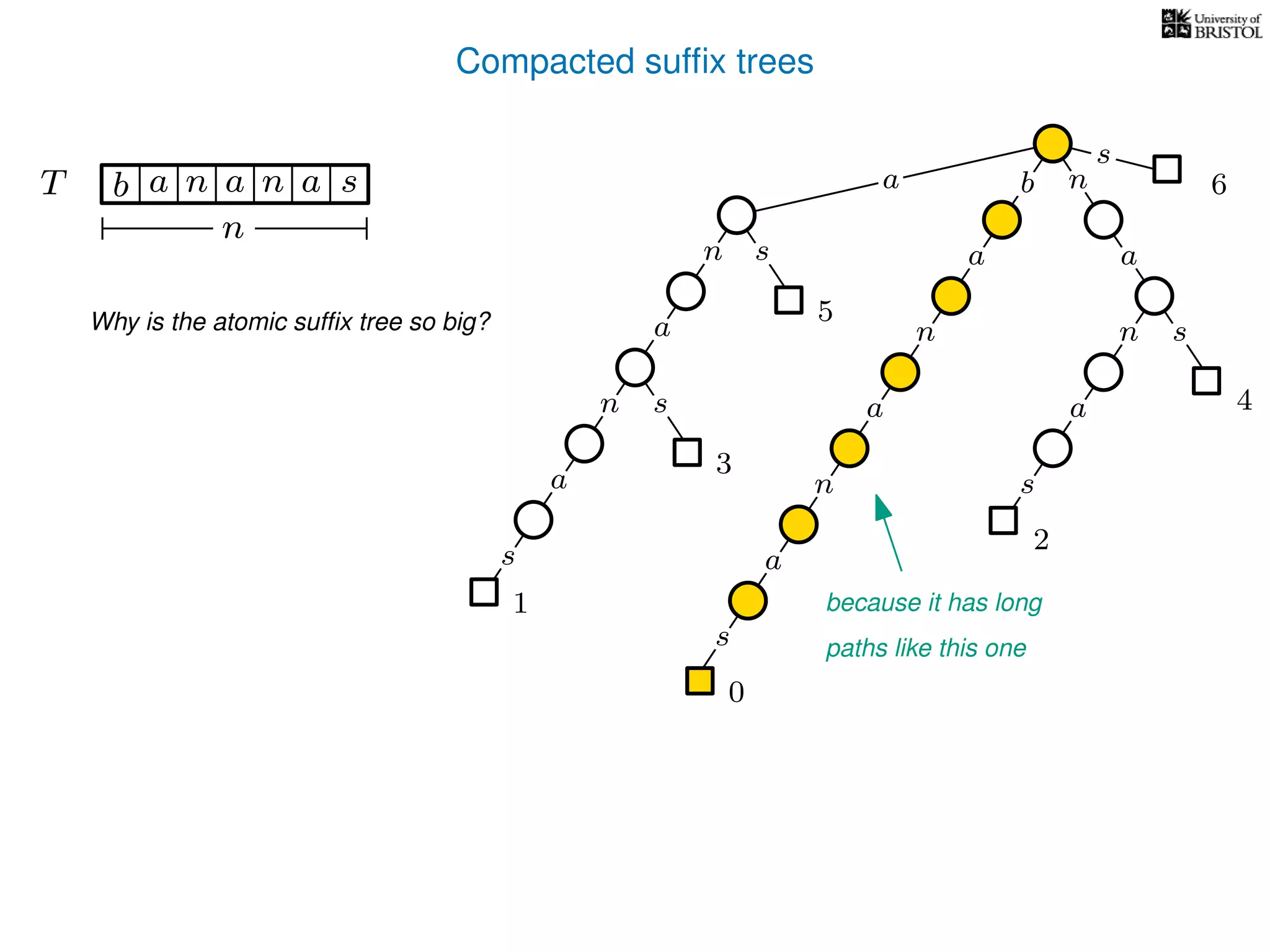 Compacted sufﬁx trees
sn
a
s
n
a
s
a
n
a
s
TT b n aaa sn
n
s
b n
a
sn
a
n
a
s
0
1
2
3
4
5
6a
Why is the atomic sufﬁx tree so big?
because it has long
paths like this one
 