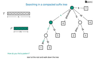 Searching in a compacted sufﬁx tree
How do you ﬁnd a pattern?
P aa n
m
start at the root and walk down the tree
TT b n aaa sn
n
$ a
s$
nas$
nas$
nas$
s$
na
s$
bananas$
7$
a
na
an
na
nas$
nas$
1 3
5
0
2 4
6
 