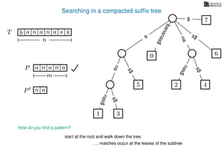 Searching in a compacted sufﬁx tree
How do you ﬁnd a pattern?
P aa n
m
start at the root and walk down the tree
. . . matches occur at the leaves of the subtree
P n a
TT b n aaa sn
n
$ a
s$
nas$
nas$
nas$
s$
na
s$
bananas$
7$
an
1 3
5
0
2 4
6
 