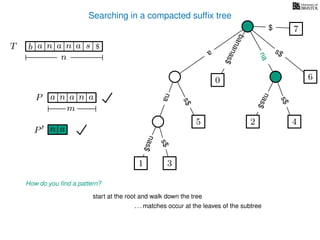 Searching in a compacted sufﬁx tree
How do you ﬁnd a pattern?
P aa n
m
start at the root and walk down the tree
. . . matches occur at the leaves of the subtree
P n a
TT b n aaa sn
n
$ a
s$
nas$
nas$
nas$
s$
na
s$
bananas$
7$
an
nana
1 3
5
0
2 4
6
 