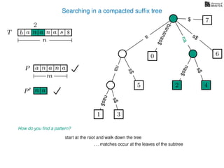 Searching in a compacted sufﬁx tree
How do you ﬁnd a pattern?
P aa n
m
start at the root and walk down the tree
. . . matches occur at the leaves of the subtree
P n a
TT b n aaa sn
n
$ a
s$
nas$
nas$
nas$
s$
na
s$
bananas$
7$
an
nana
2
1 3
5
0
2 4
6
 