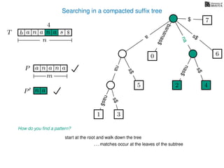 Searching in a compacted sufﬁx tree
How do you ﬁnd a pattern?
P aa n
m
start at the root and walk down the tree
. . . matches occur at the leaves of the subtree
P n a
TT b n aaa sn
n
$ a
s$
nas$
nas$
nas$
s$
na
s$
bananas$
7$
an
nana
4
1 3
5
0
2 4
6
 